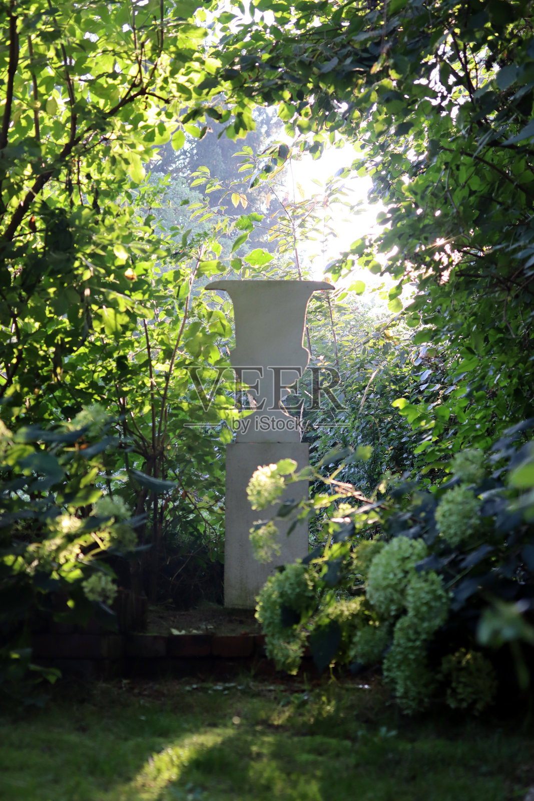 向花园中的一个古董花瓶致敬。照片摄影图片