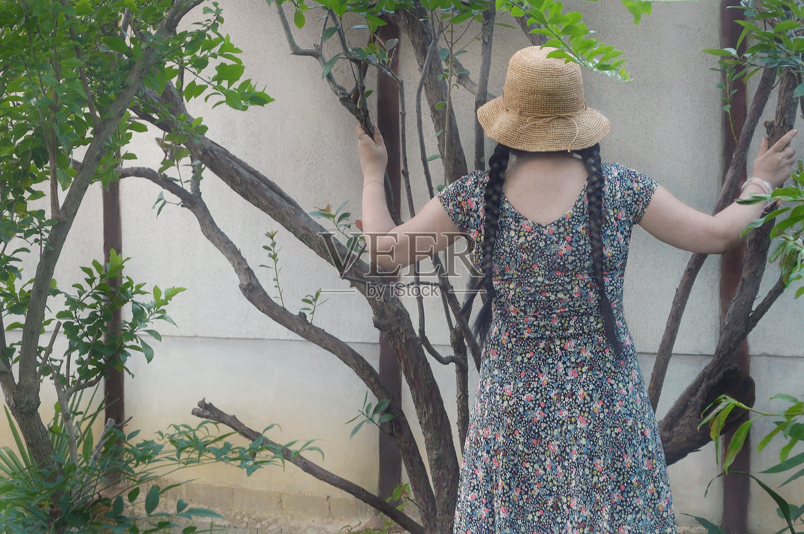 穿着带有树木的印花连衣裙的女人照片摄影图片