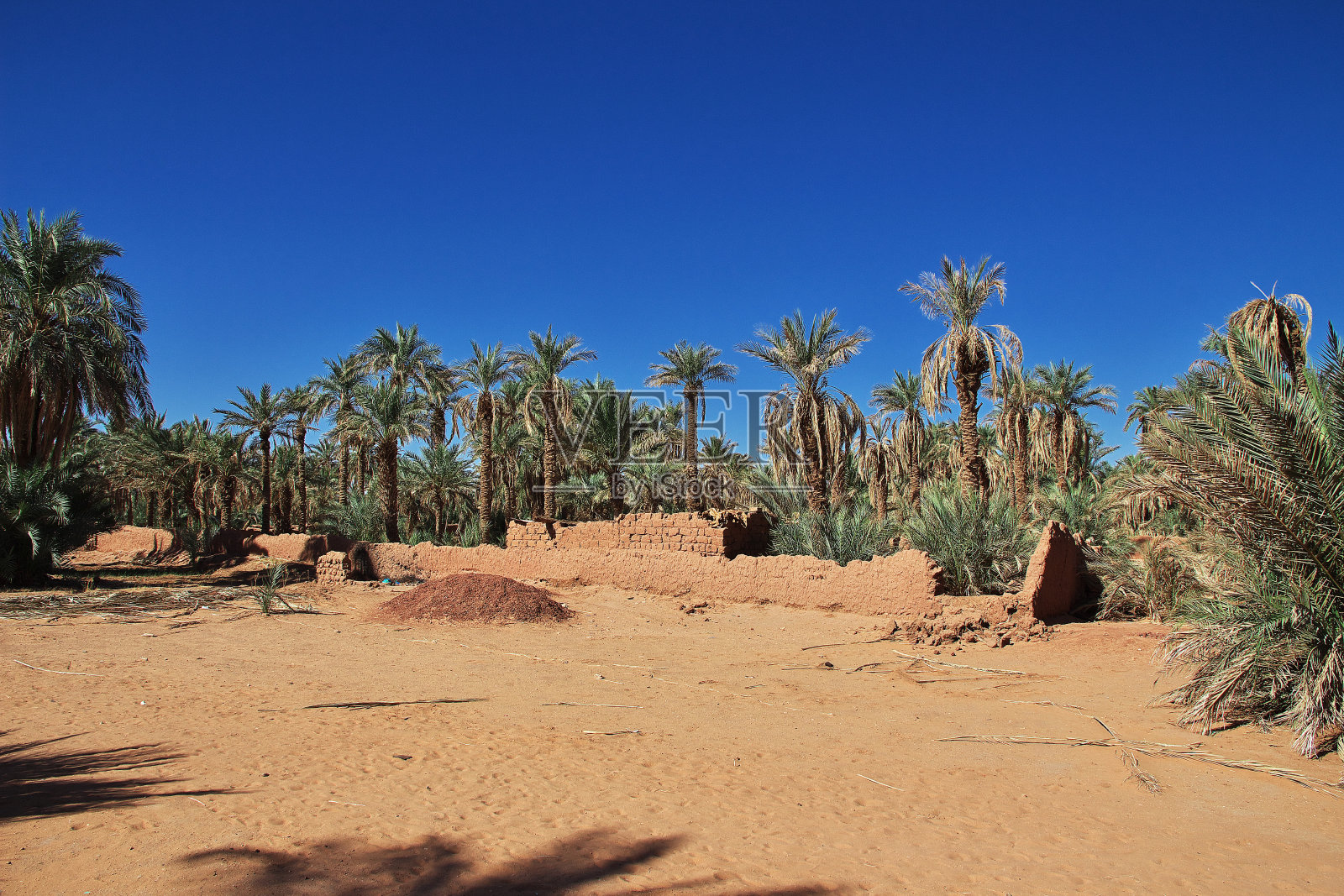 非洲阿尔及利亚撒哈拉沙漠的蒂米蒙废弃城市里的枣椰树照片摄影图片