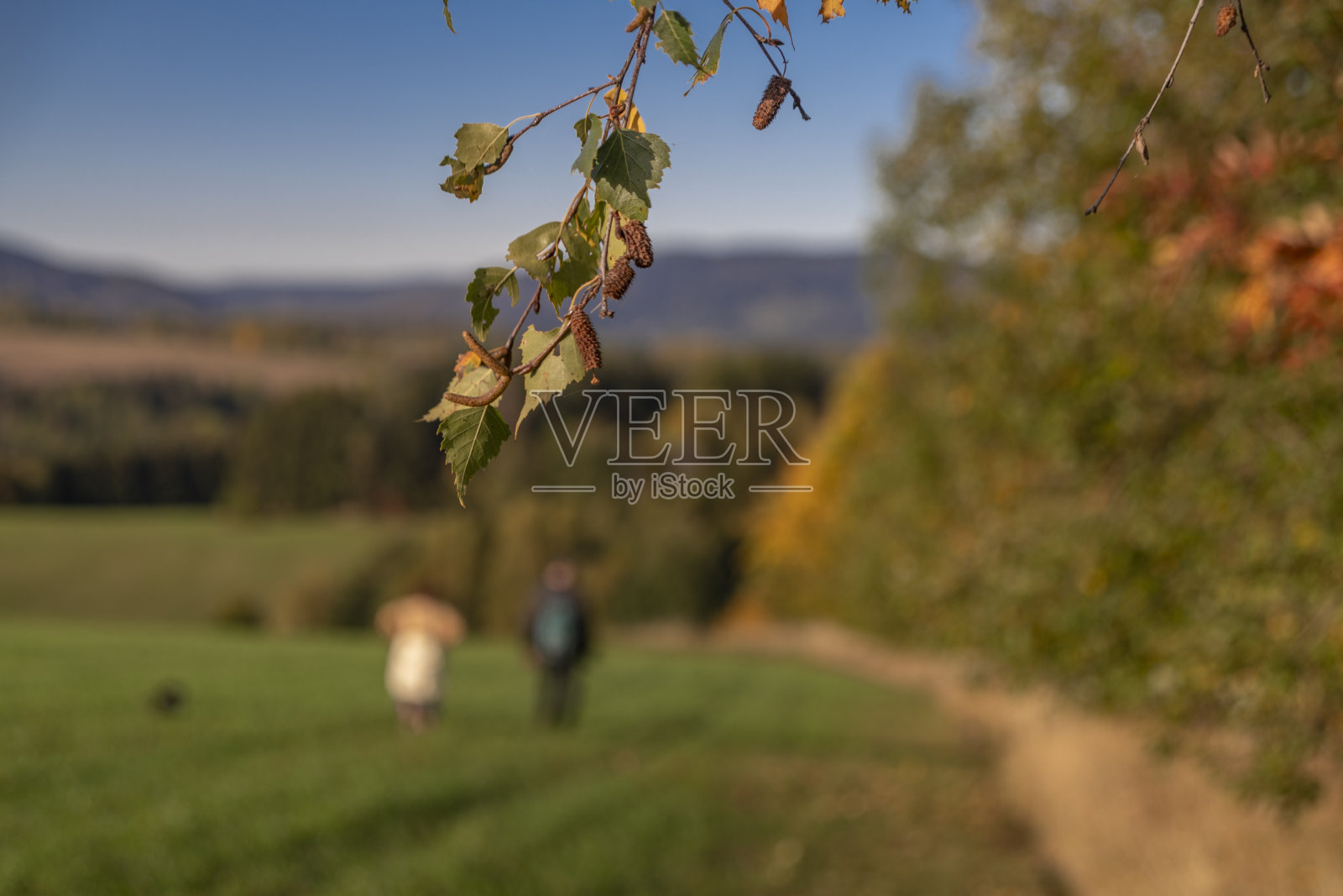 在ropracpractice村附近的彩色炎热的夜晚观看秋天的风景照片摄影图片