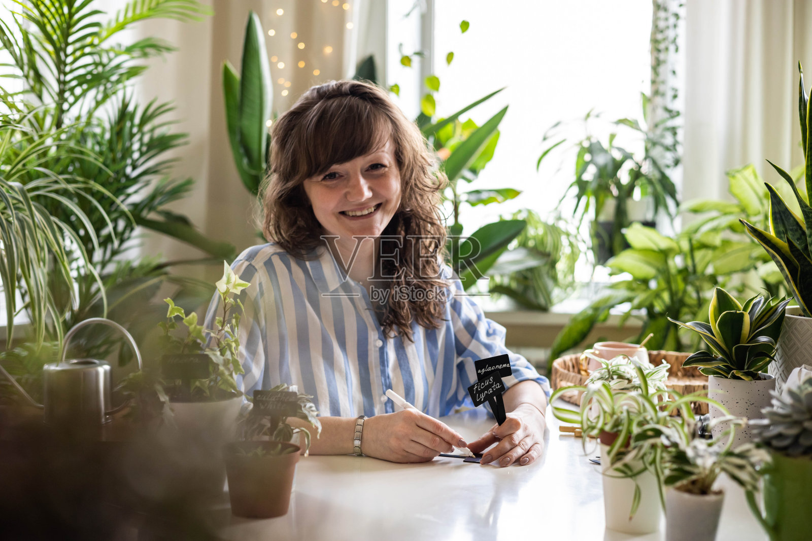 家庭妇女照料杂色怪物生长，书写招牌牌，名字移植秧苗照片摄影图片
