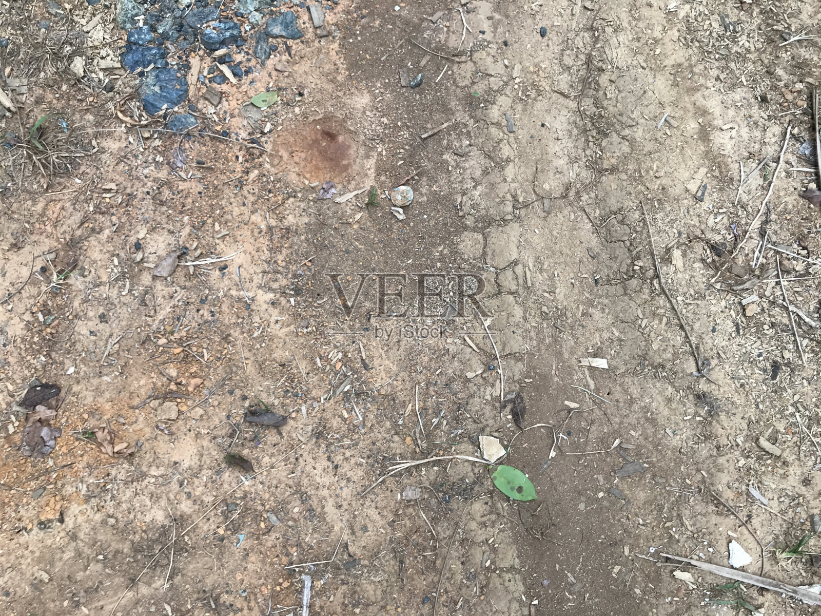 旱季的旱地。干土质地照片摄影图片