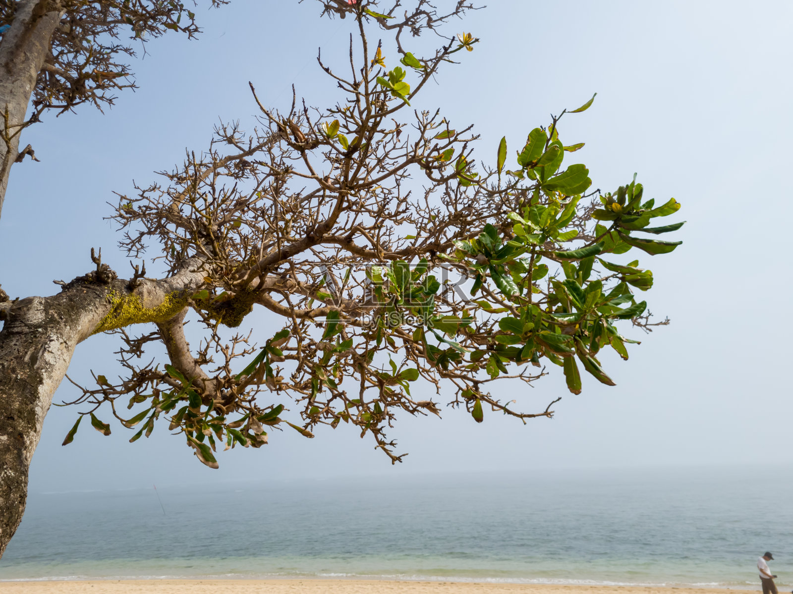 美丽的自然风光照片摄影图片