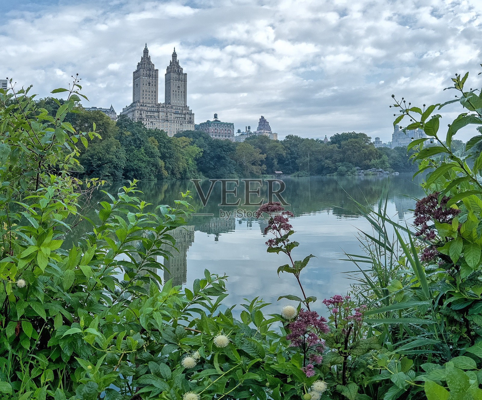 纽约中央公园，湖边照片摄影图片