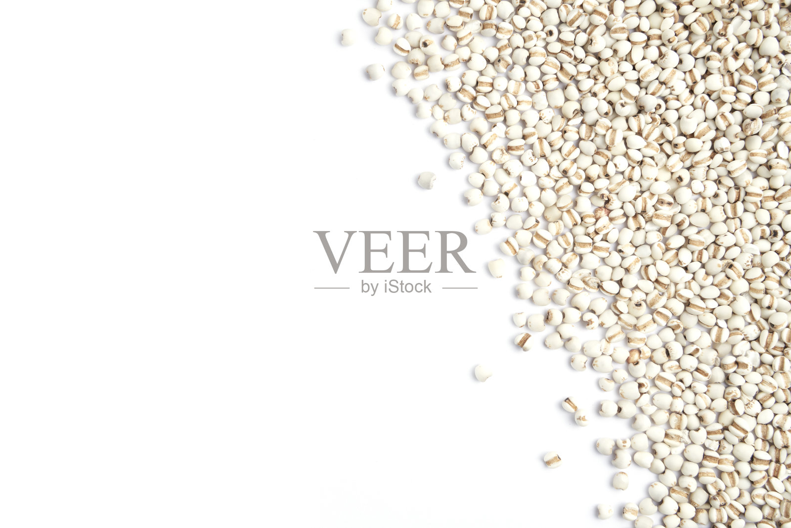 在白色背景上分离的谷物照片摄影图片