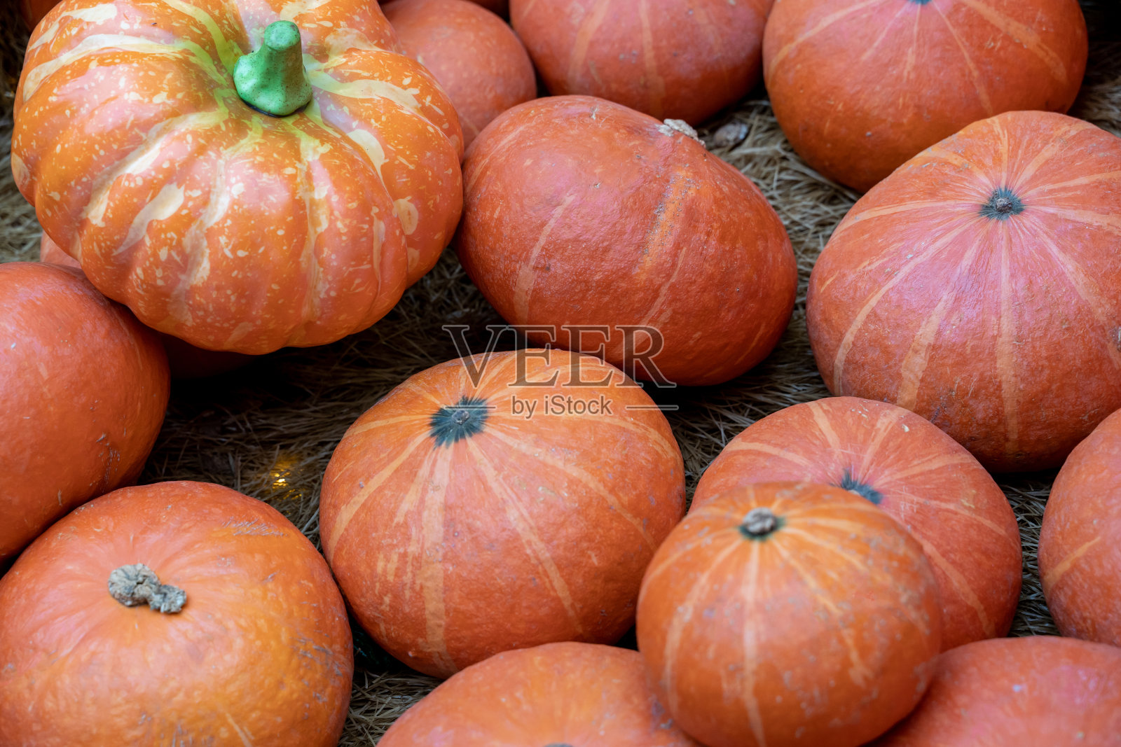 许多不同颜色的南瓜在木地板上。前视图。万圣节和丰收的概念。照片摄影图片