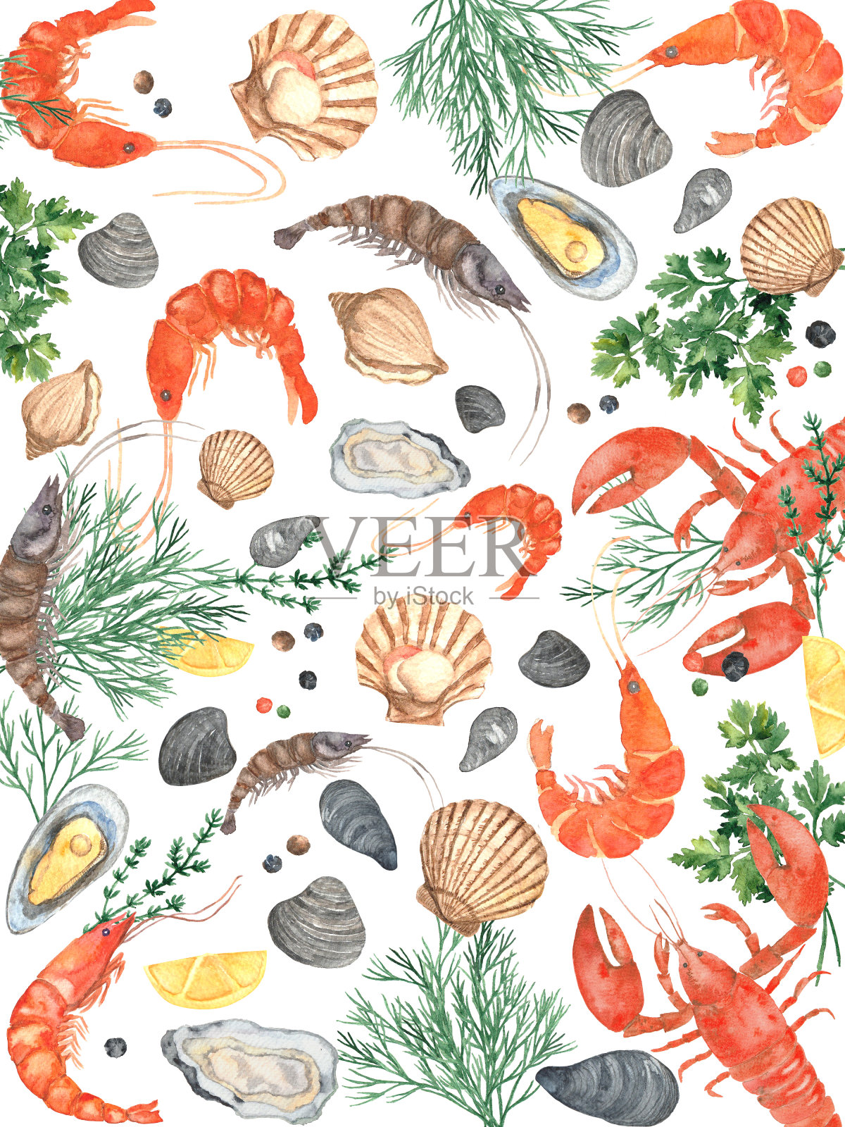 海鲜的插图。龙虾，虾，牡蛎，贻贝，蛤蜊，香料和海鲜香草。水彩手绘元素。餐厅礼券，餐厅菜单，烹饪书，传单插画图片素材