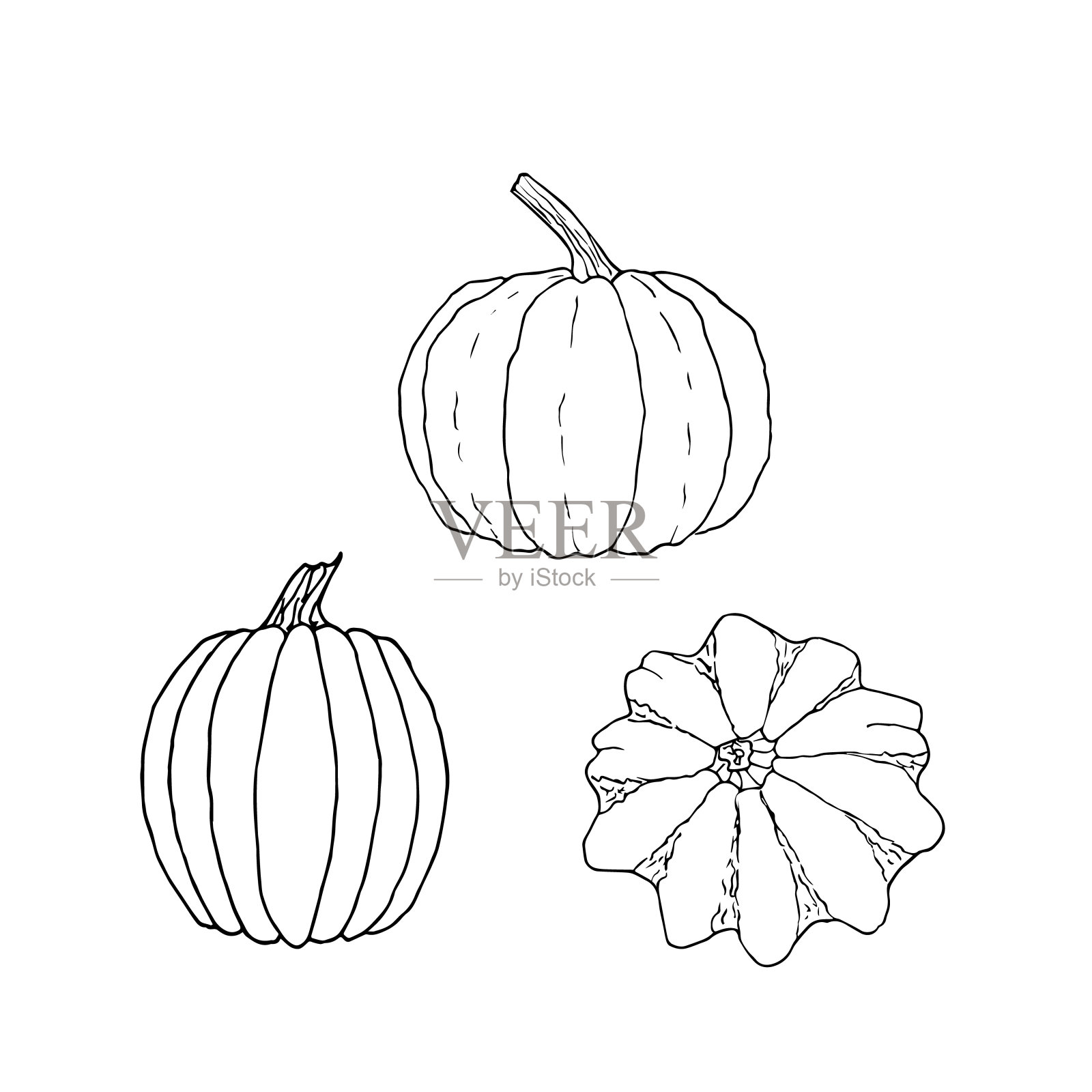 一组白色背景的南瓜。手绘矢量插图。用于涂色书，广告，包装，邀请函，名片，明信片，印刷插画图片素材