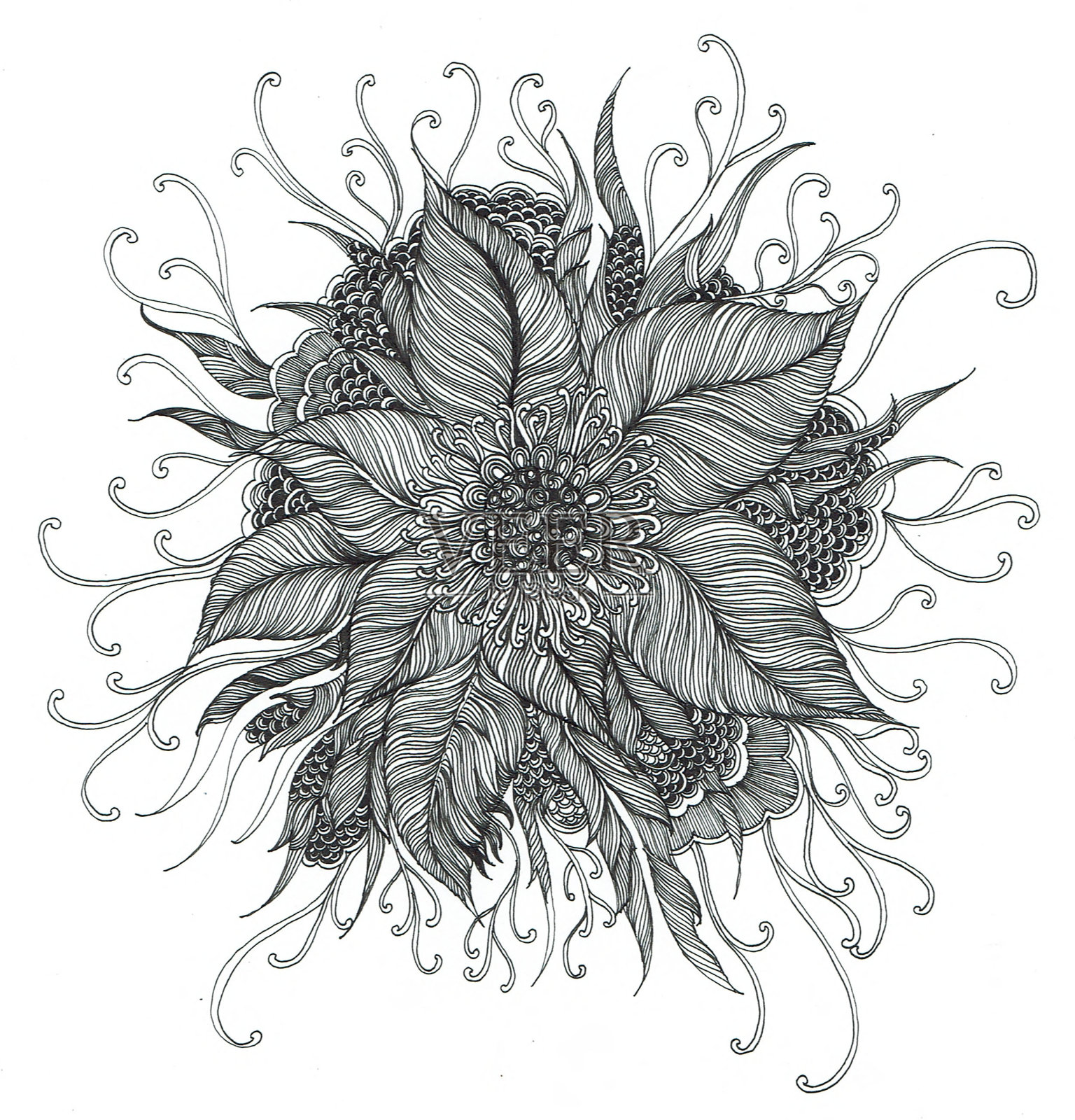 花卉和绘画装饰插画图片素材