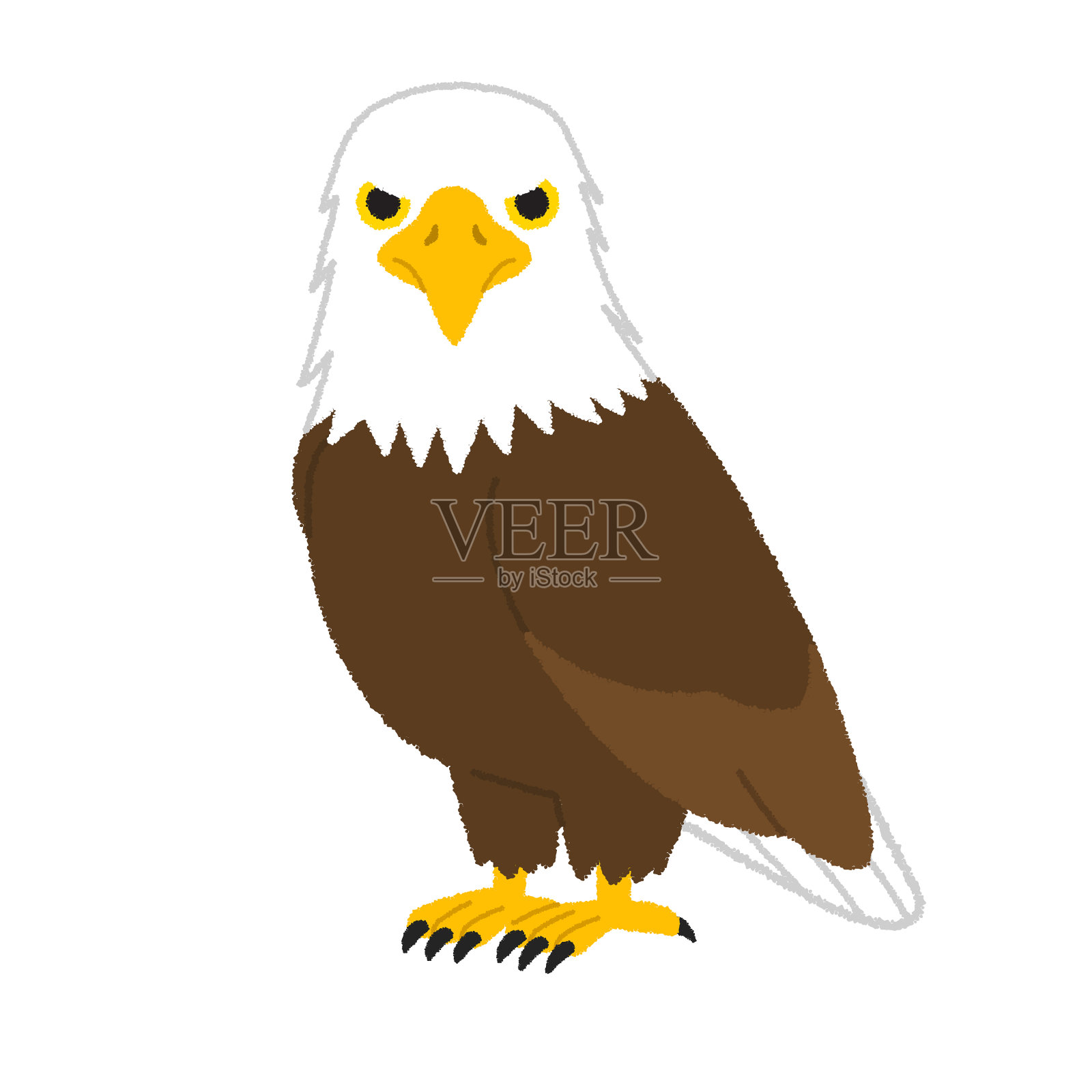 鹰插画图片素材