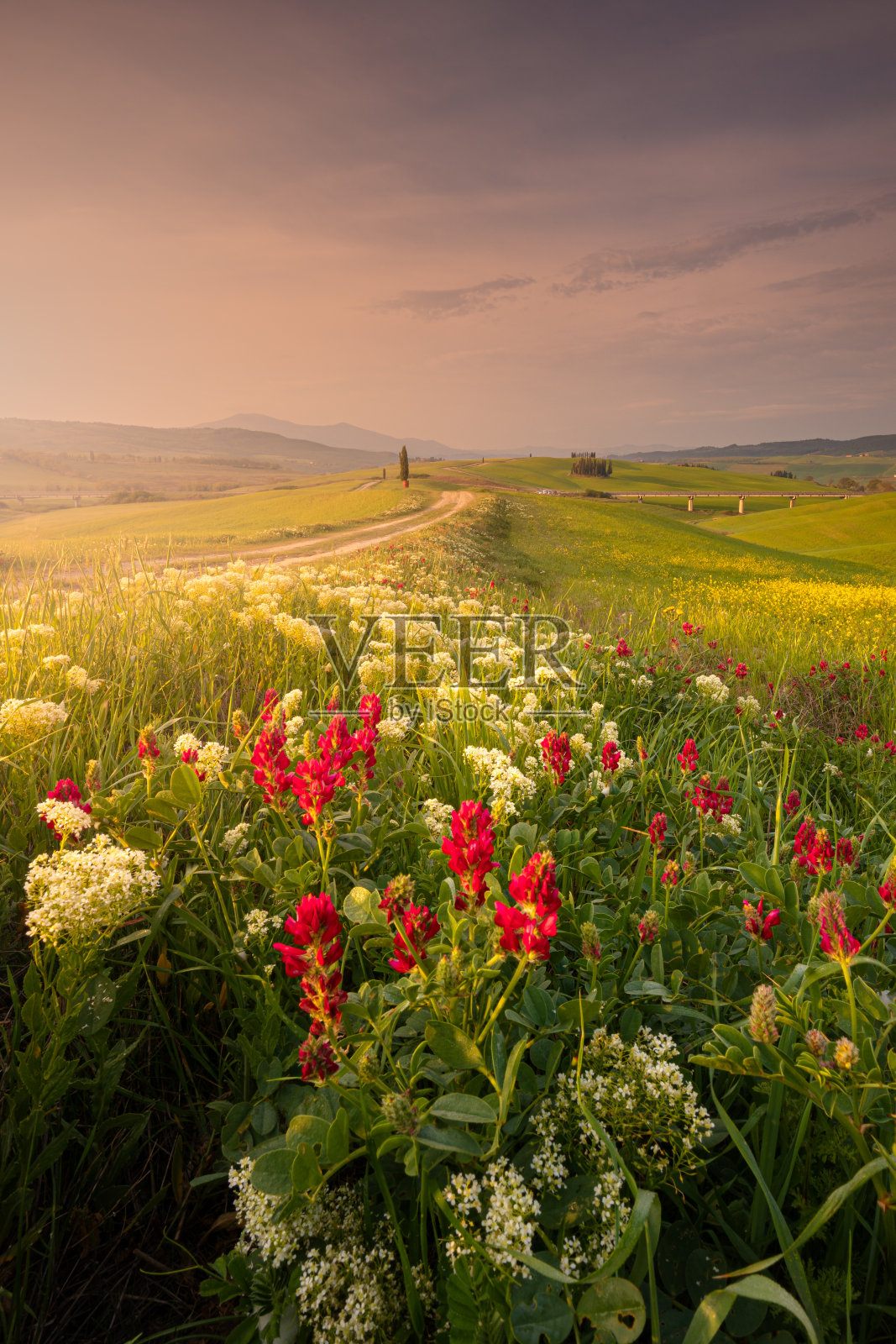 春天的风景与小径在Val d'Orcia山照片摄影图片