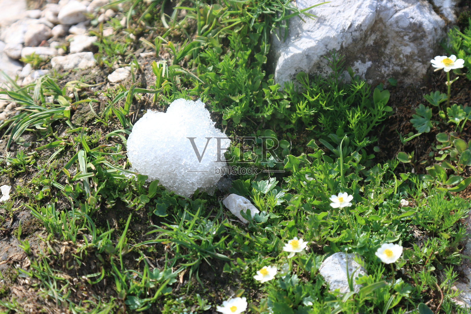 春天，阿尔卑斯山脉达赫施泰因山，奥地利照片摄影图片