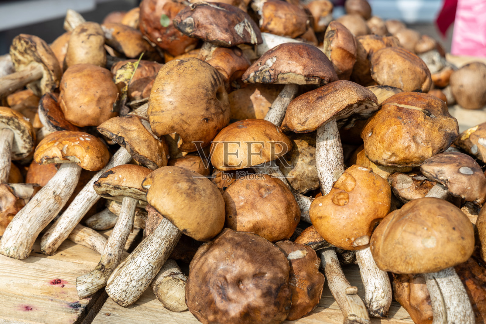 农民柜台上新鲜采摘的菌菇照片摄影图片