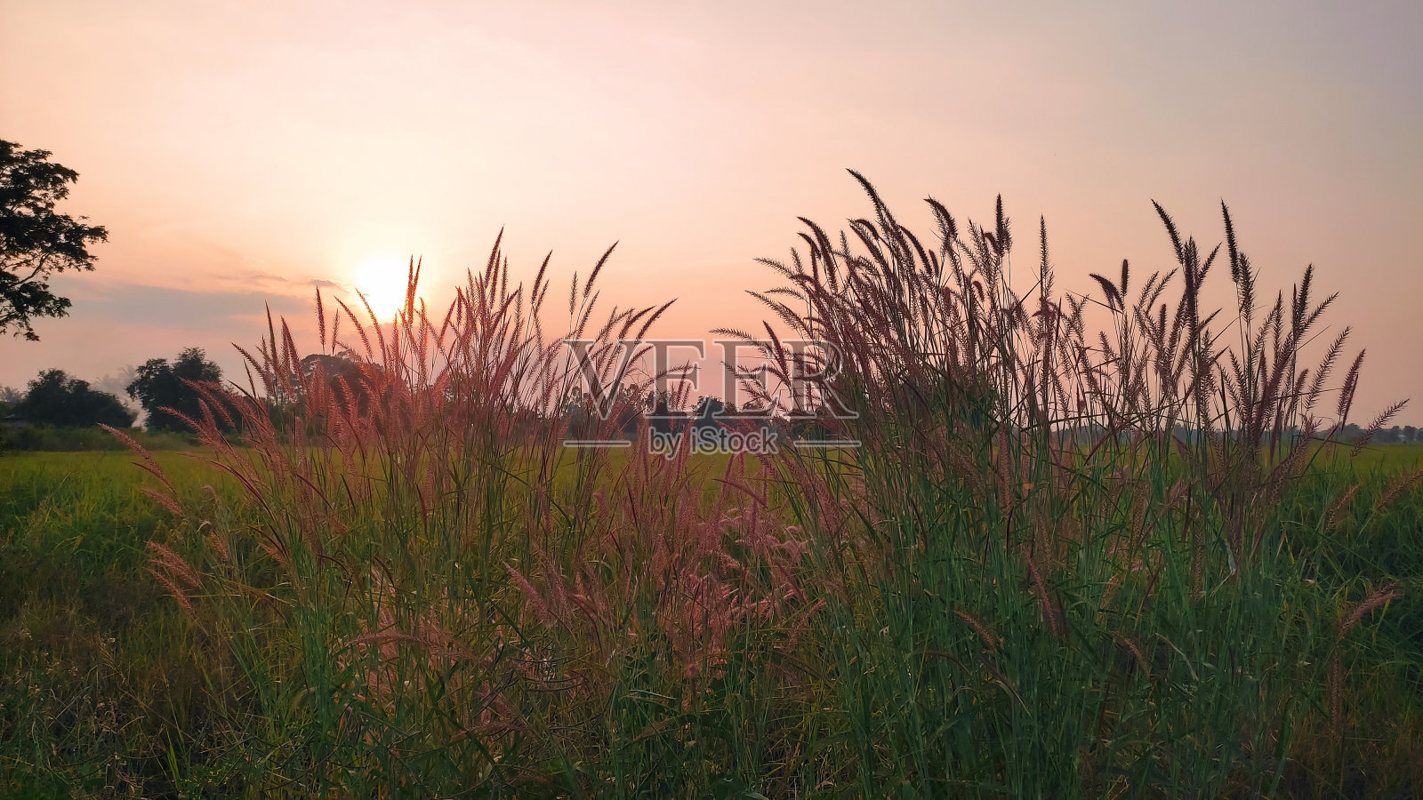 日落照片摄影图片