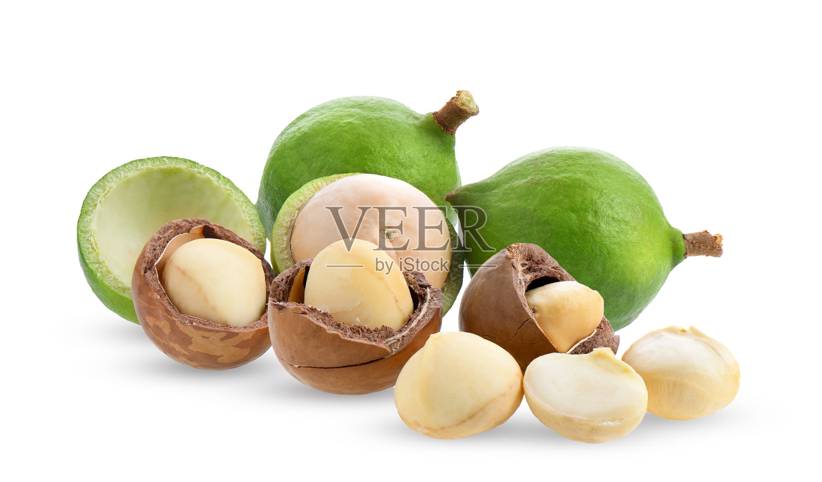 在白色背景上分离的澳洲坚果照片摄影图片