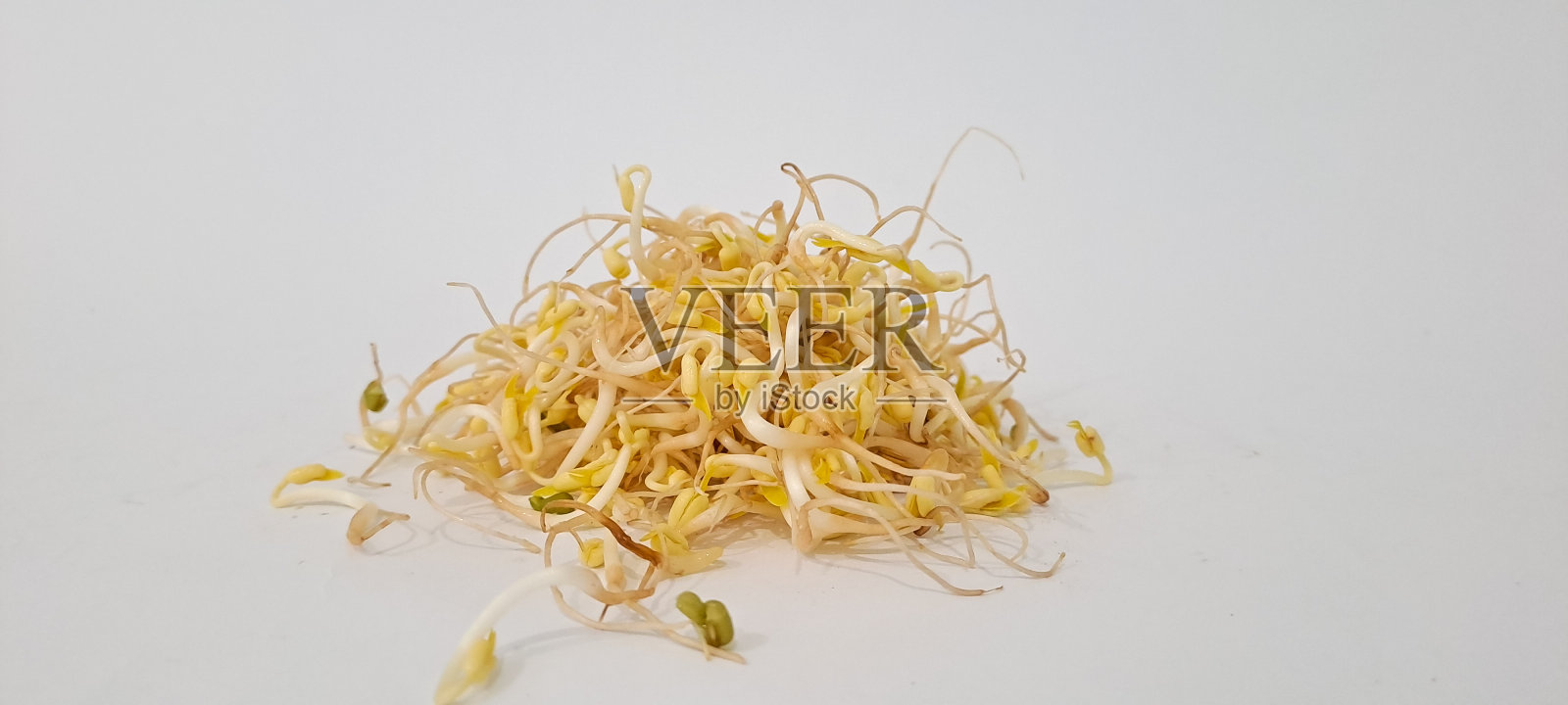 白底豆芽照片摄影图片