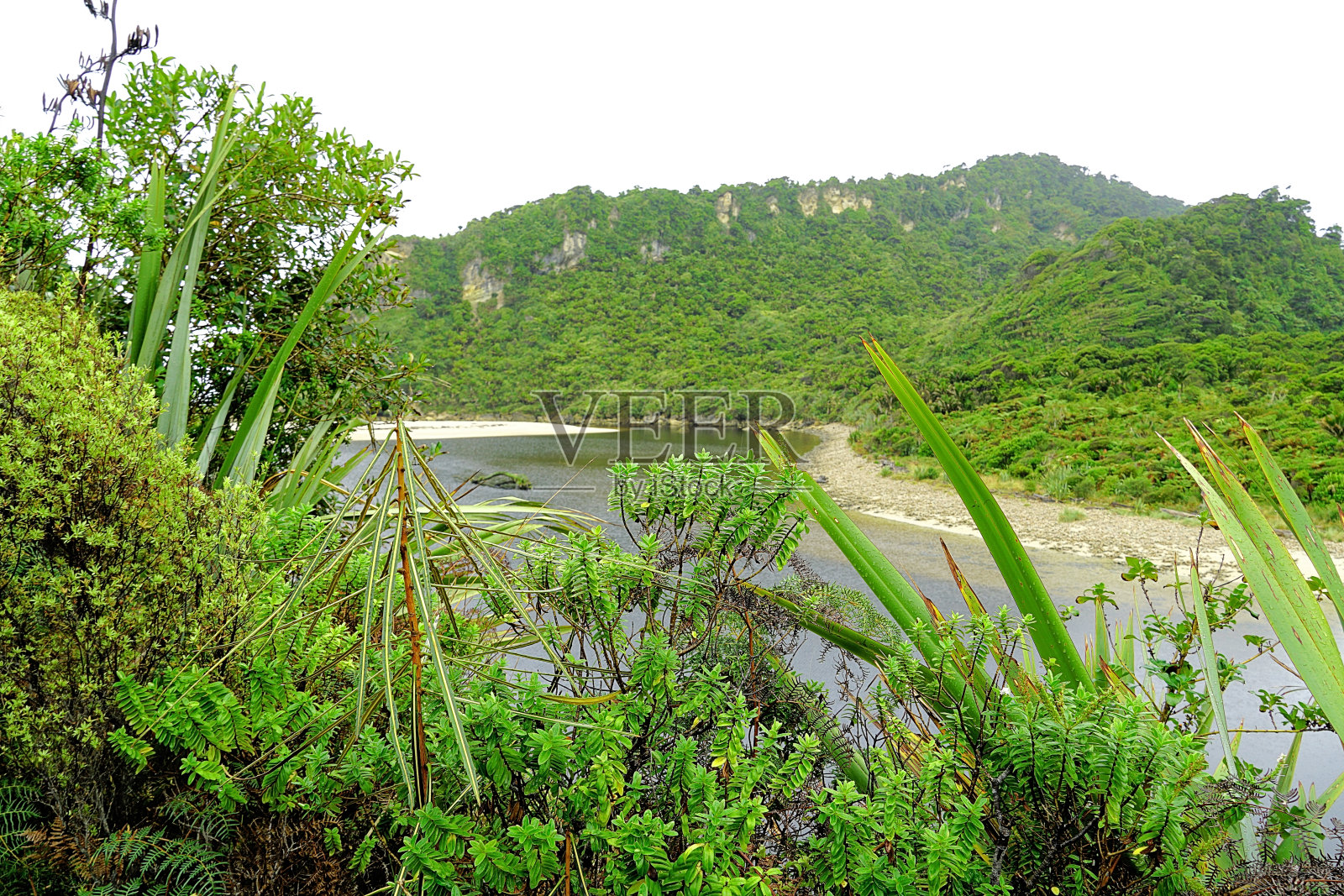 新西兰南岛照片摄影图片
