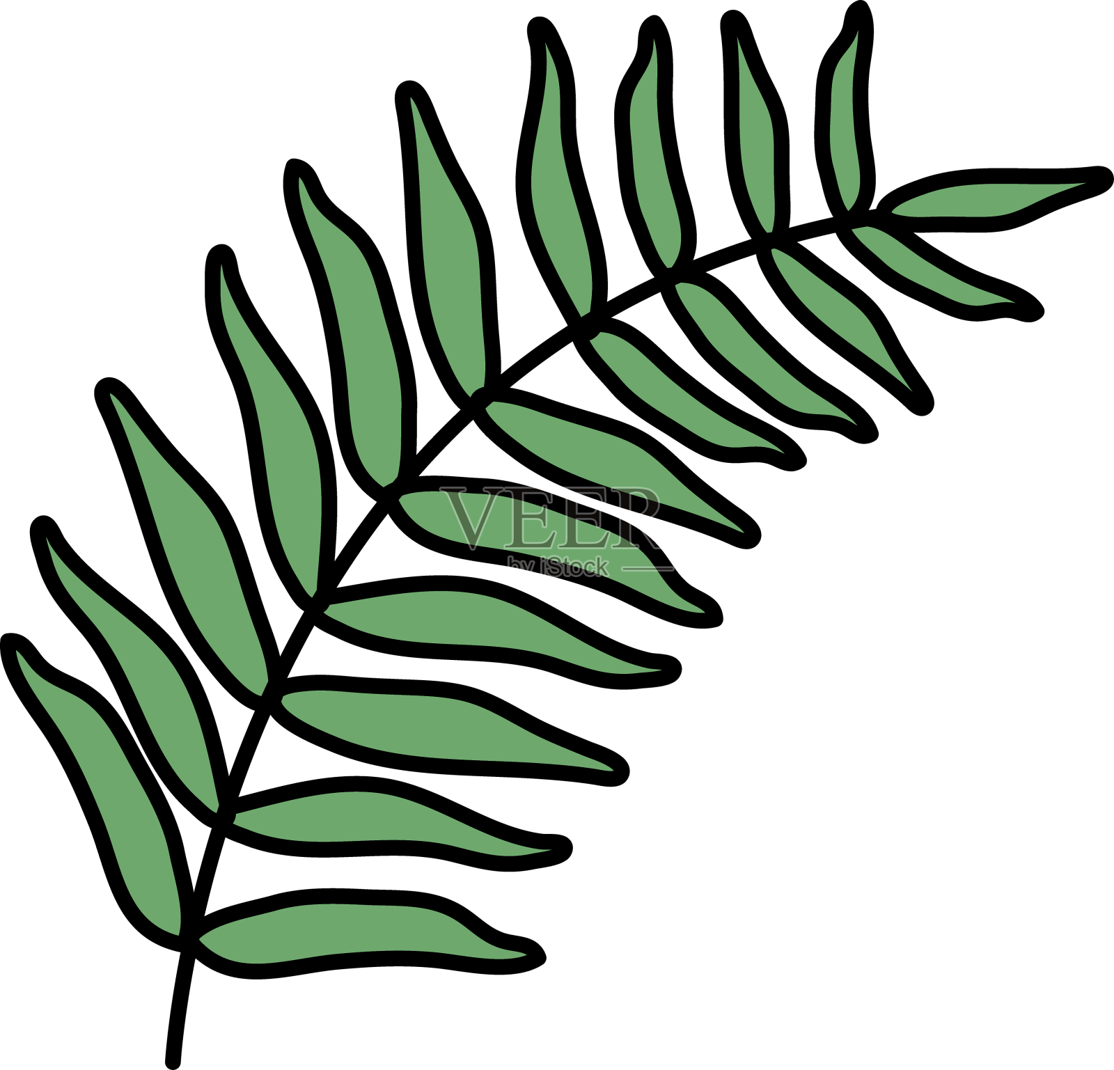 外来和热带叶植物设计元素图片