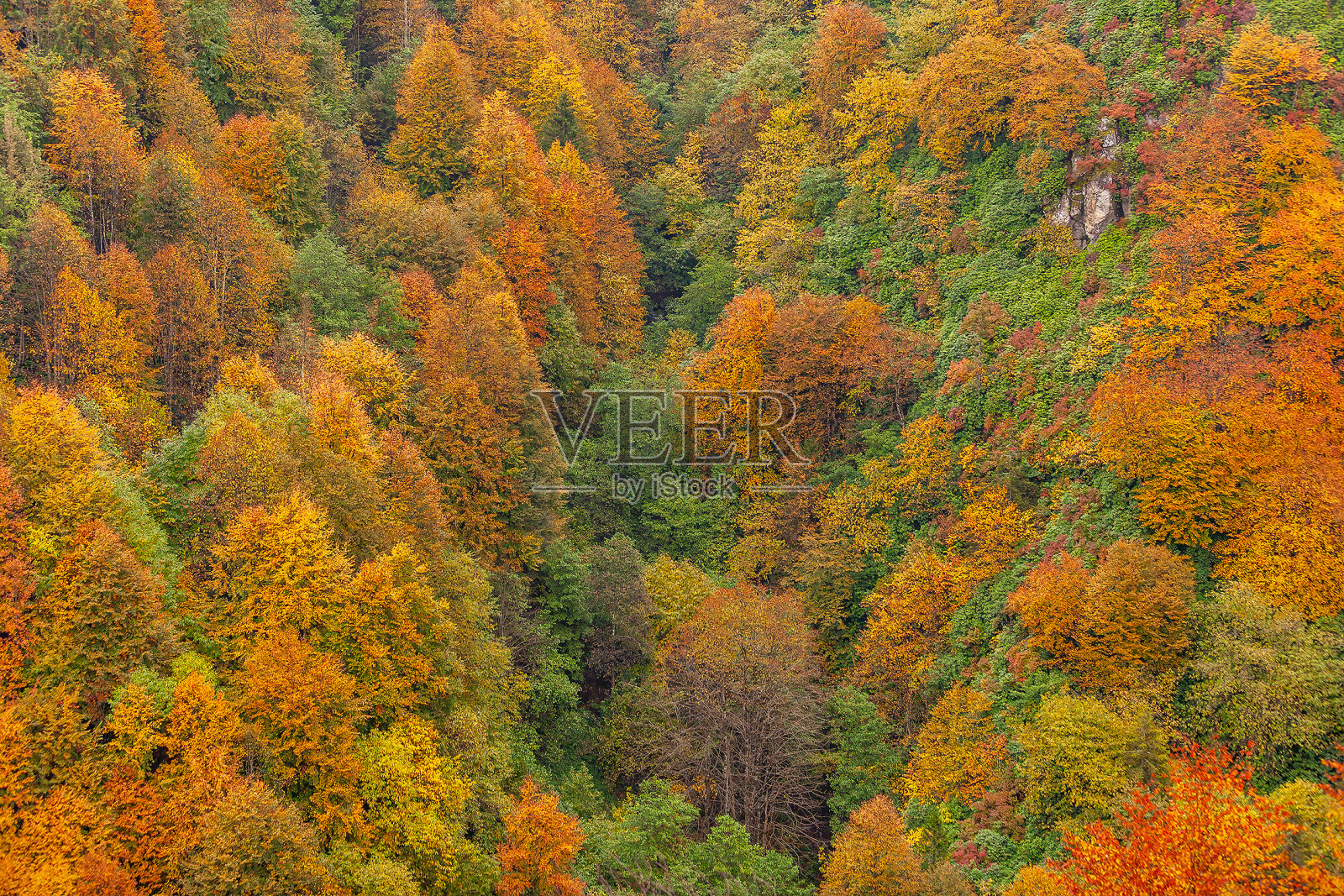 黑海地区山脉的秋天照片摄影图片
