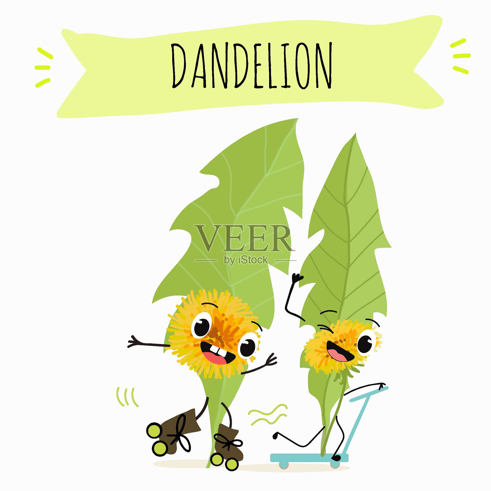 矢量卡通人物蒲公英，搞笑人物，药用植物，烹饪。插画图片素材