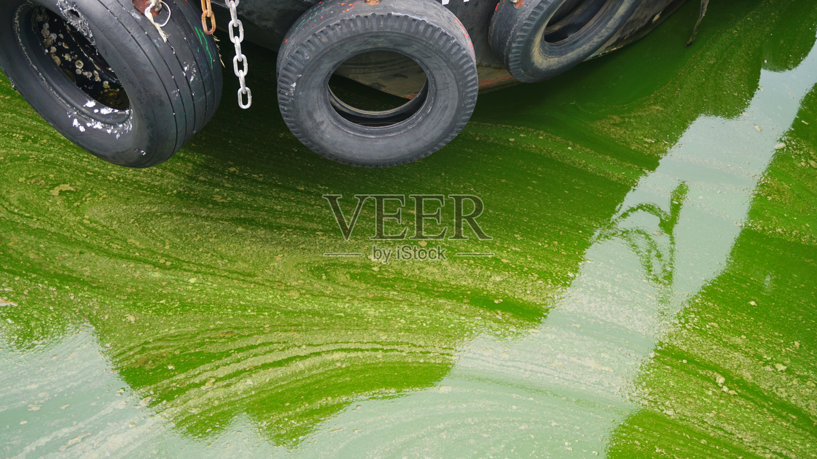 浮游生物盛开的大海与船的背景照片摄影图片