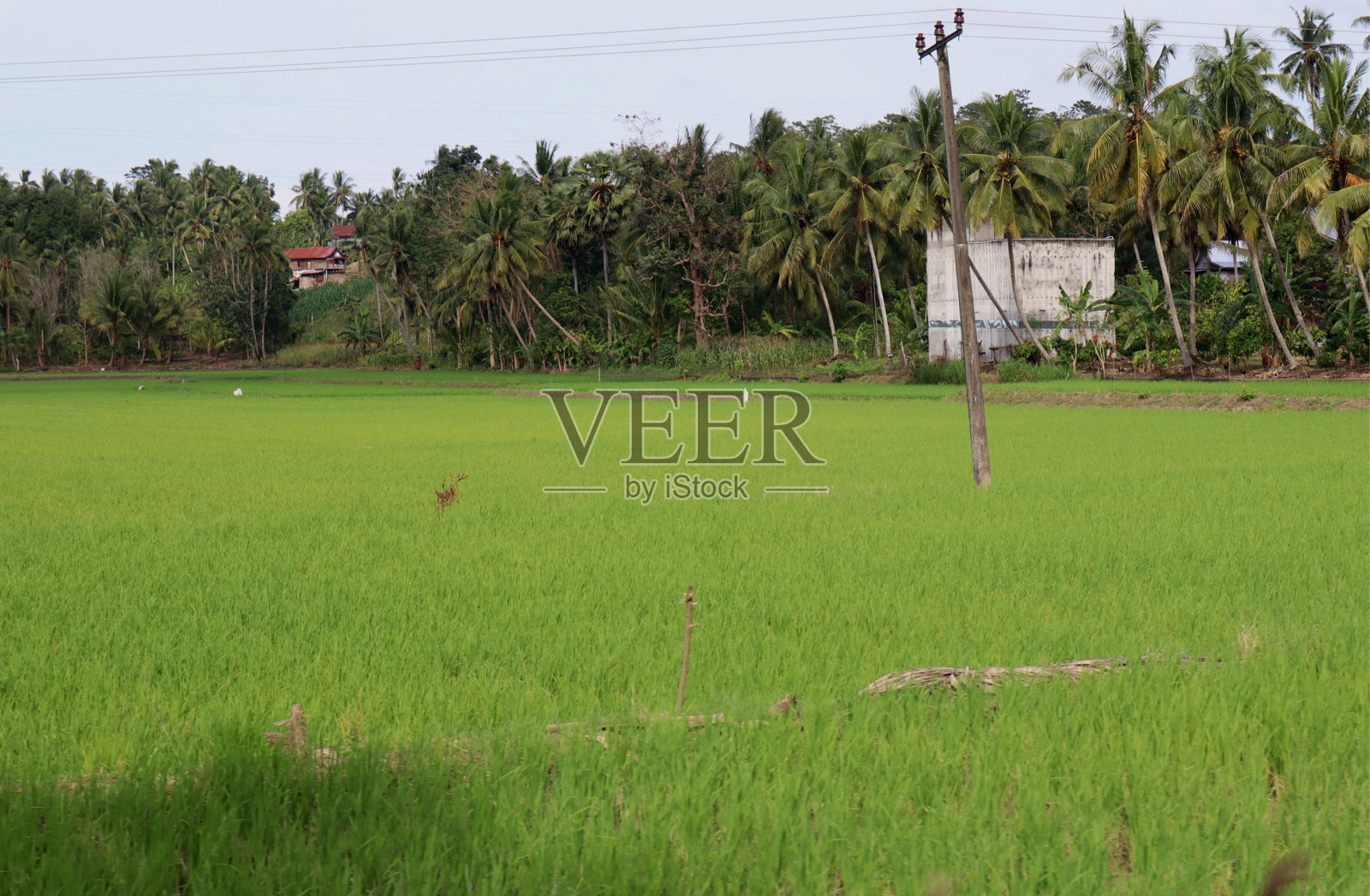 印尼自然景观照片摄影图片