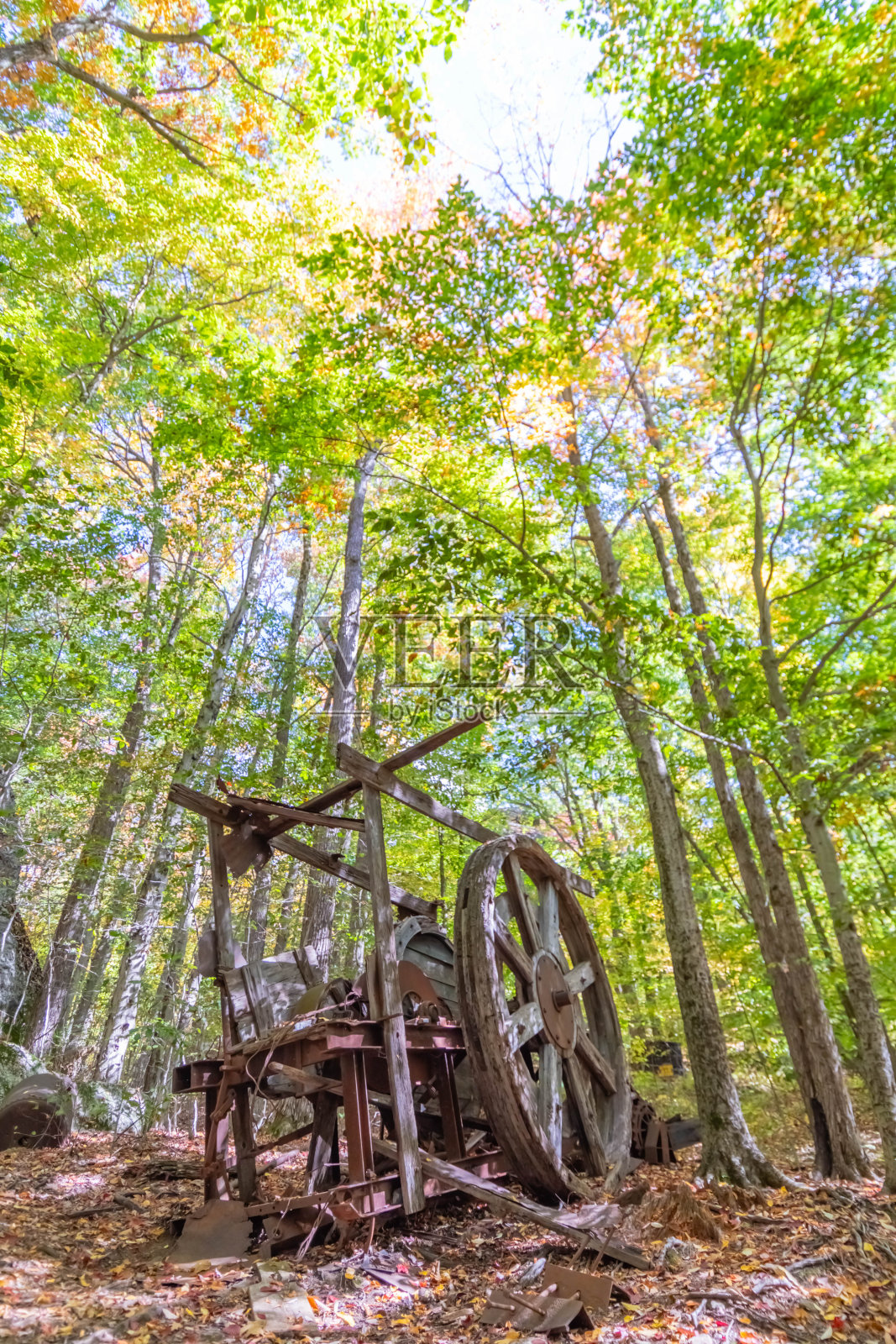 岩城公园，奥利安，纽约，巨大的岩层照片摄影图片