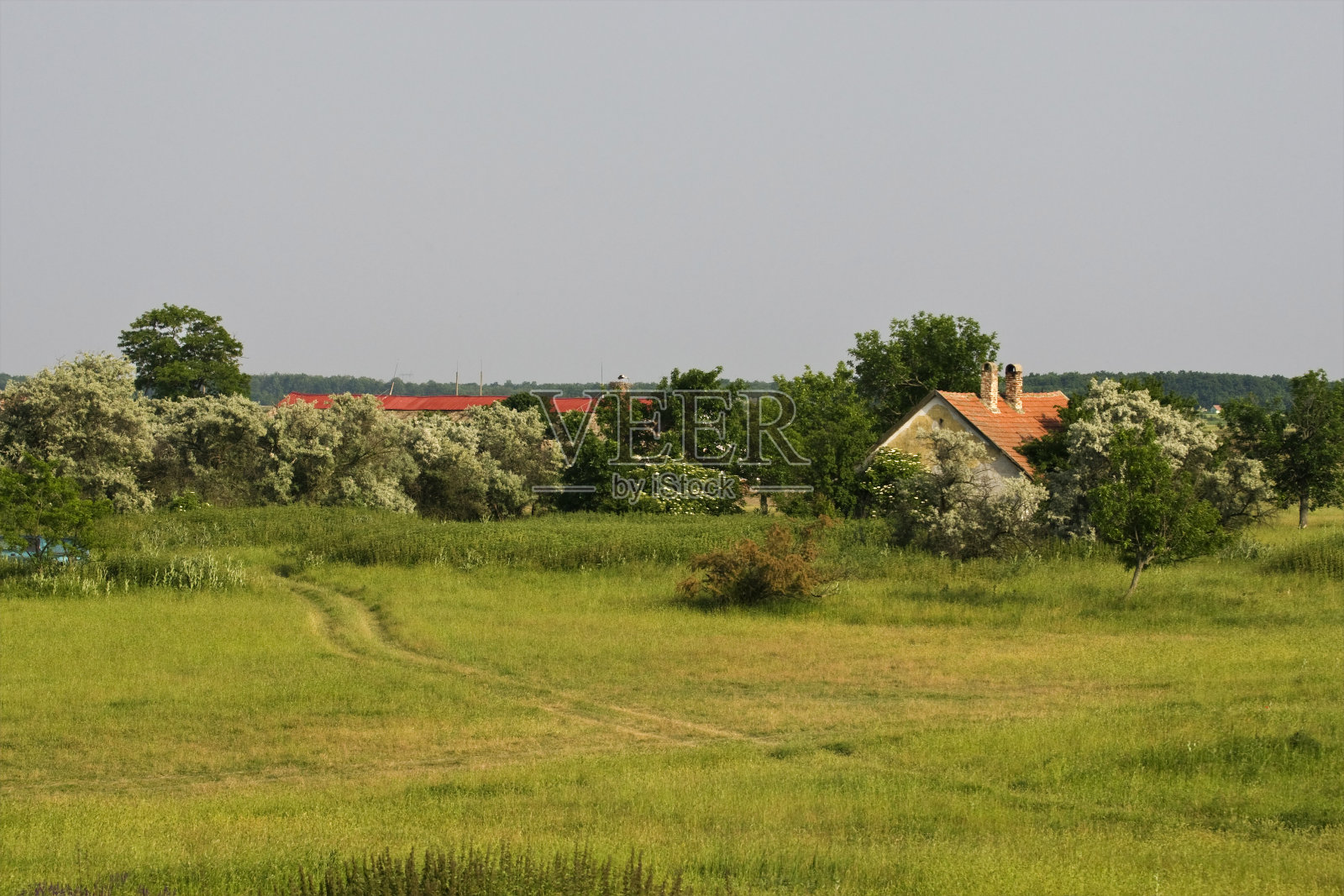 Boerderij、农场照片摄影图片