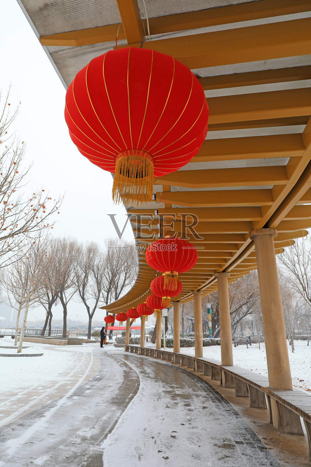 公园里雪地里的红灯笼照片摄影图片