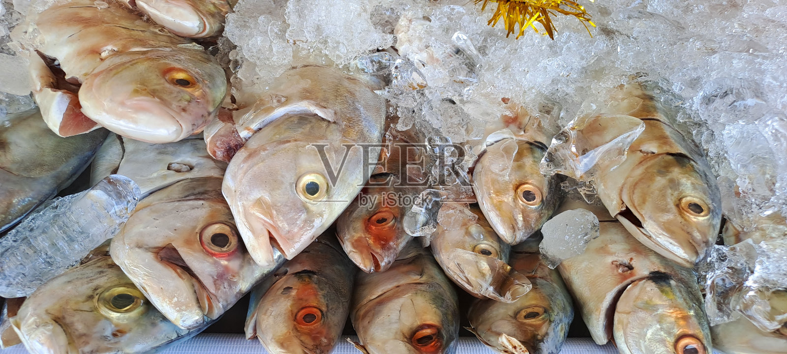 鱼市场里装着冰的盒子里的鲜鱼照片摄影图片