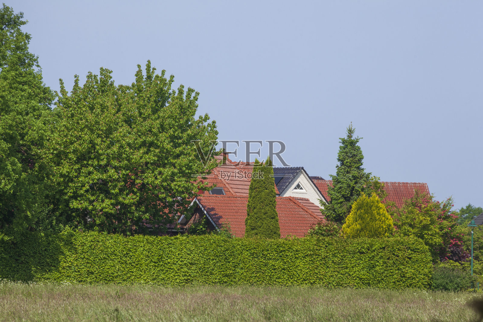 住宅，单户住宅，住宅建筑，牧场，苏林根，下萨克森州，德国照片摄影图片