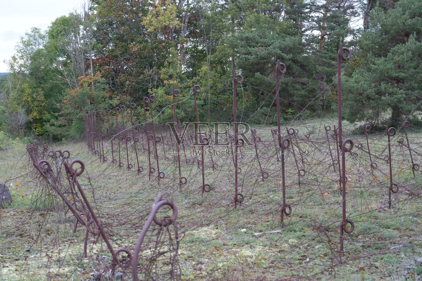 铁丝网照片摄影图片