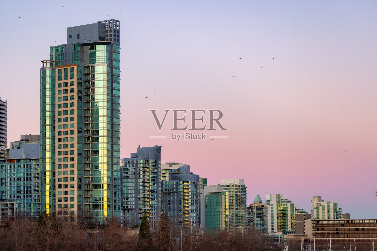 加拿大不列颠哥伦比亚省温哥华市中心煤港的住宅高层公寓楼照片摄影图片