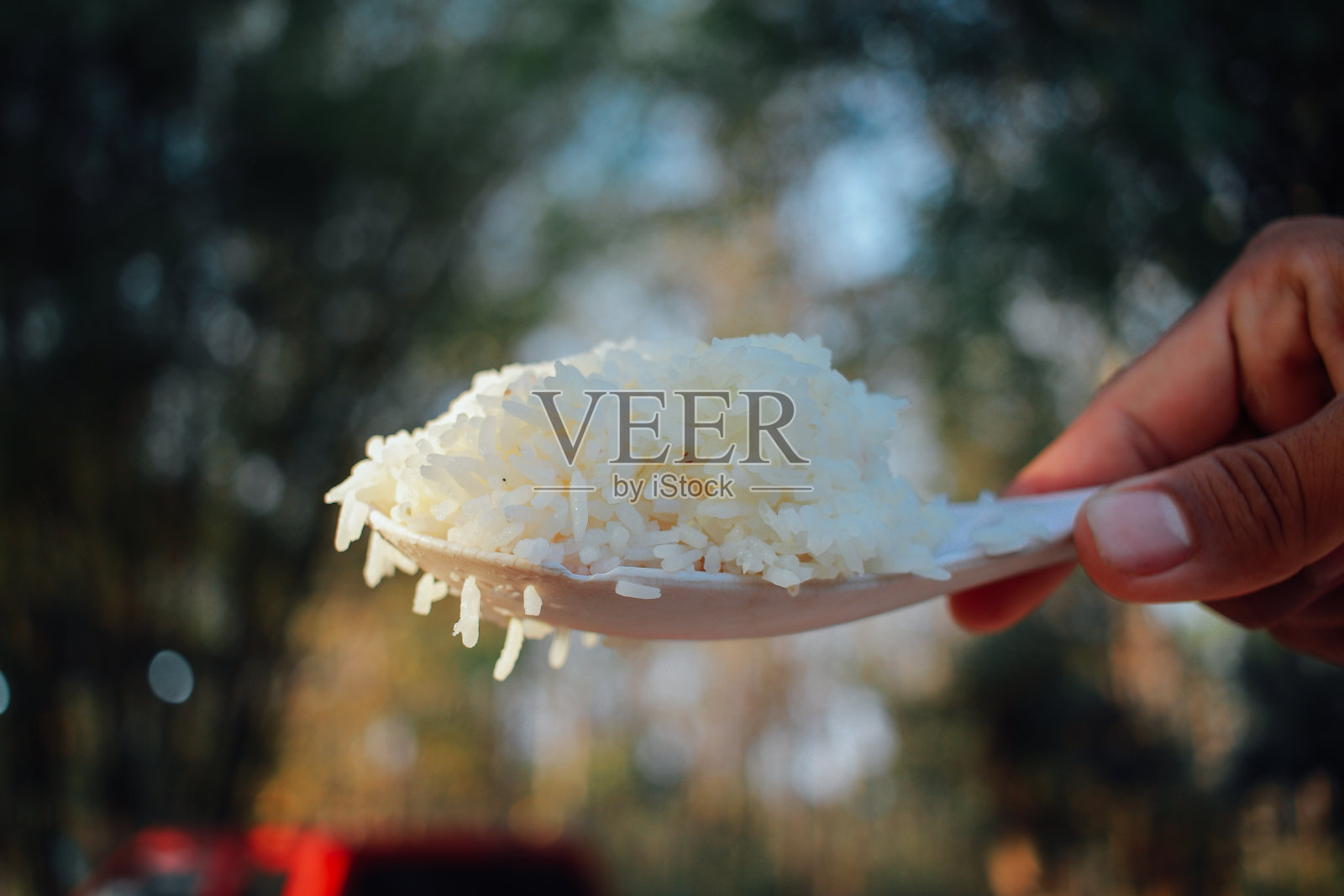 完美的米饭照片摄影图片