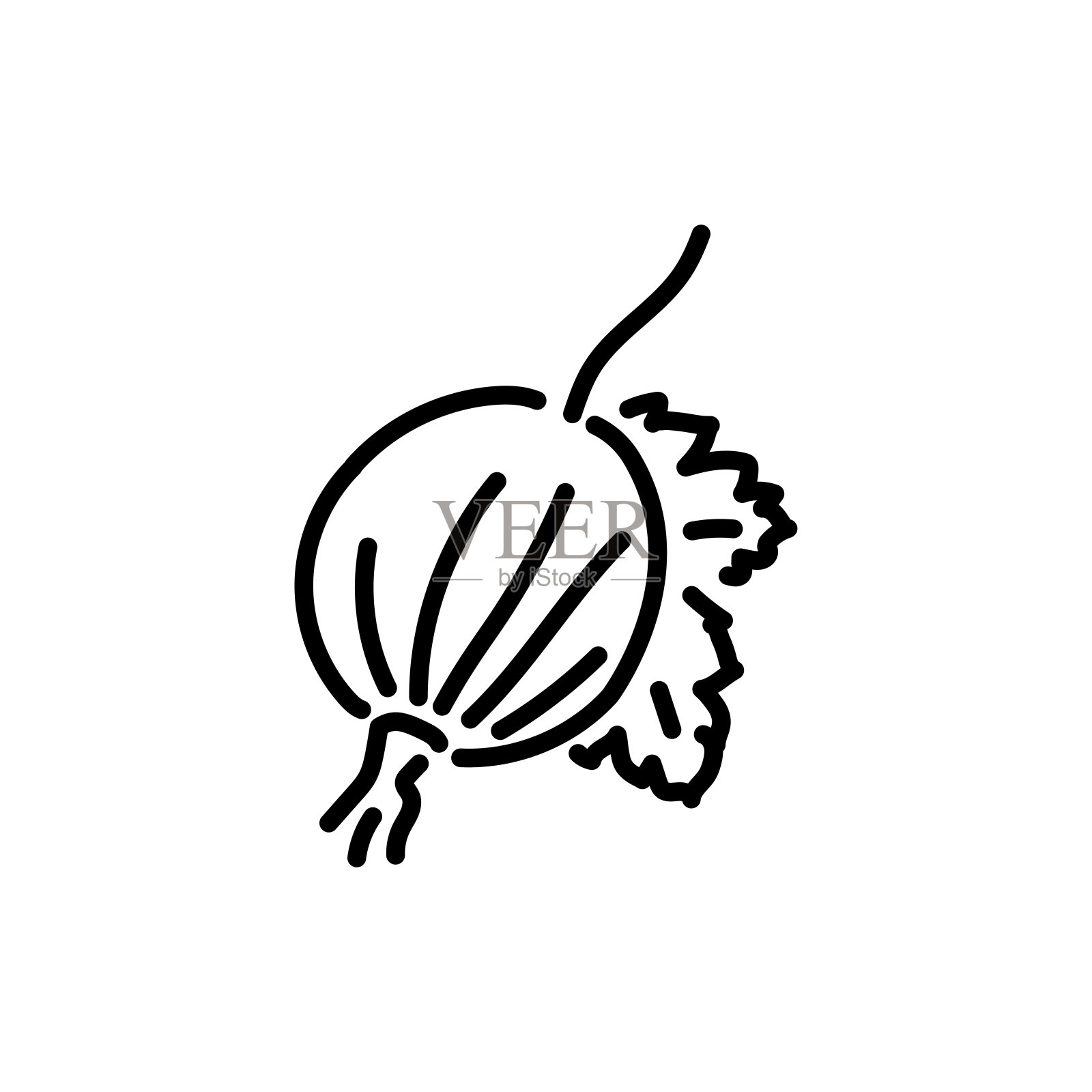 醋栗色线图标。有机排毒食品。插画图片素材