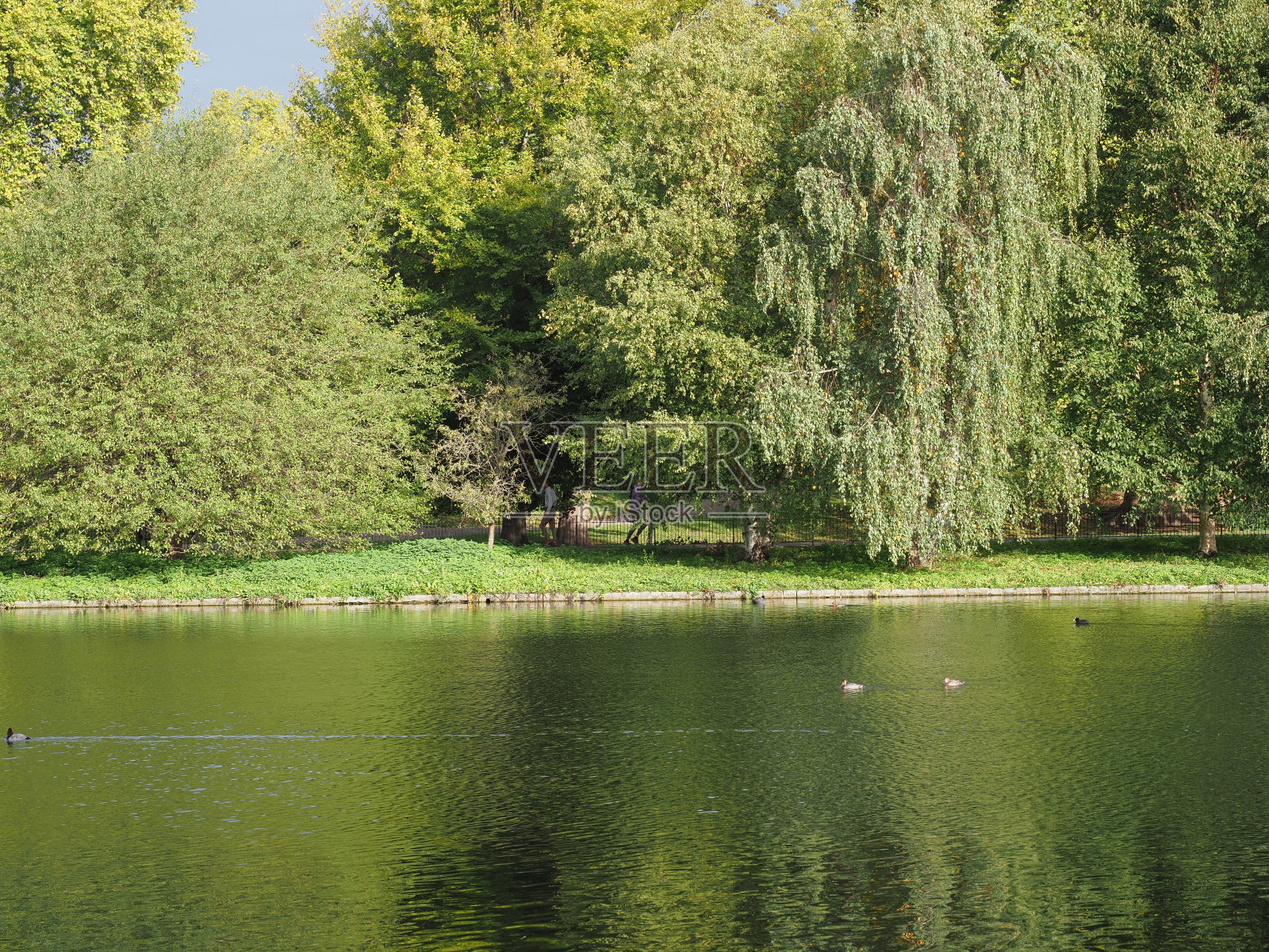伦敦的圣詹姆斯公园照片摄影图片