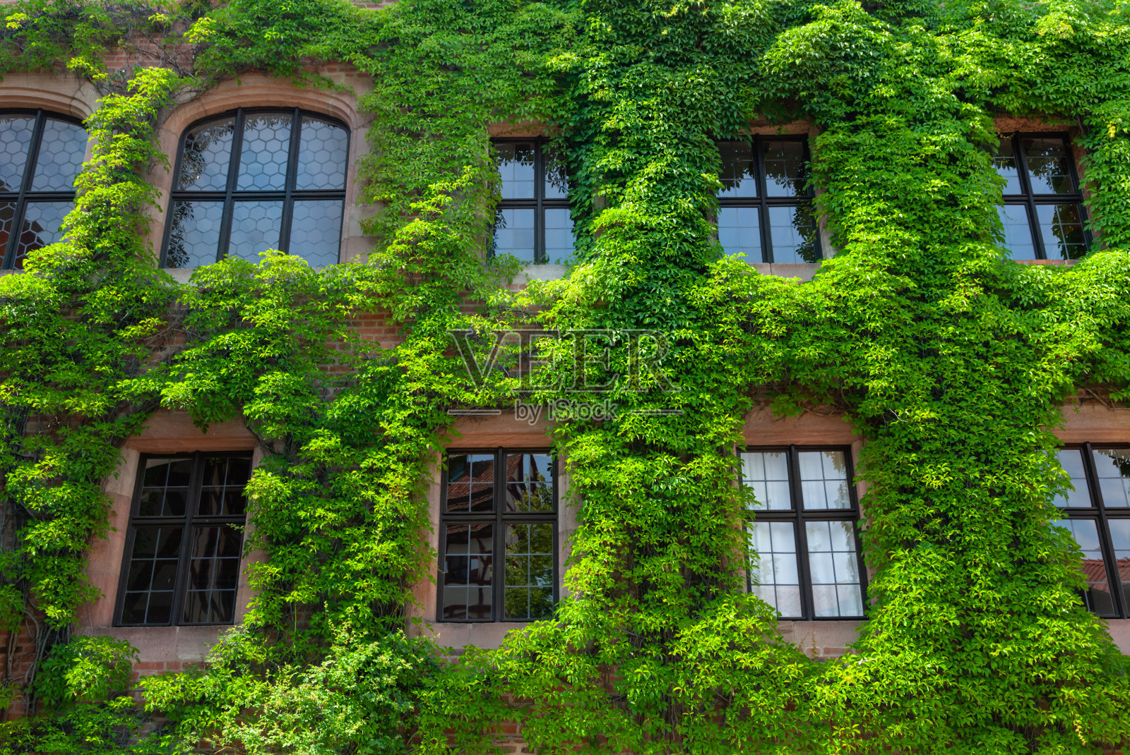 绿色的墙照片摄影图片