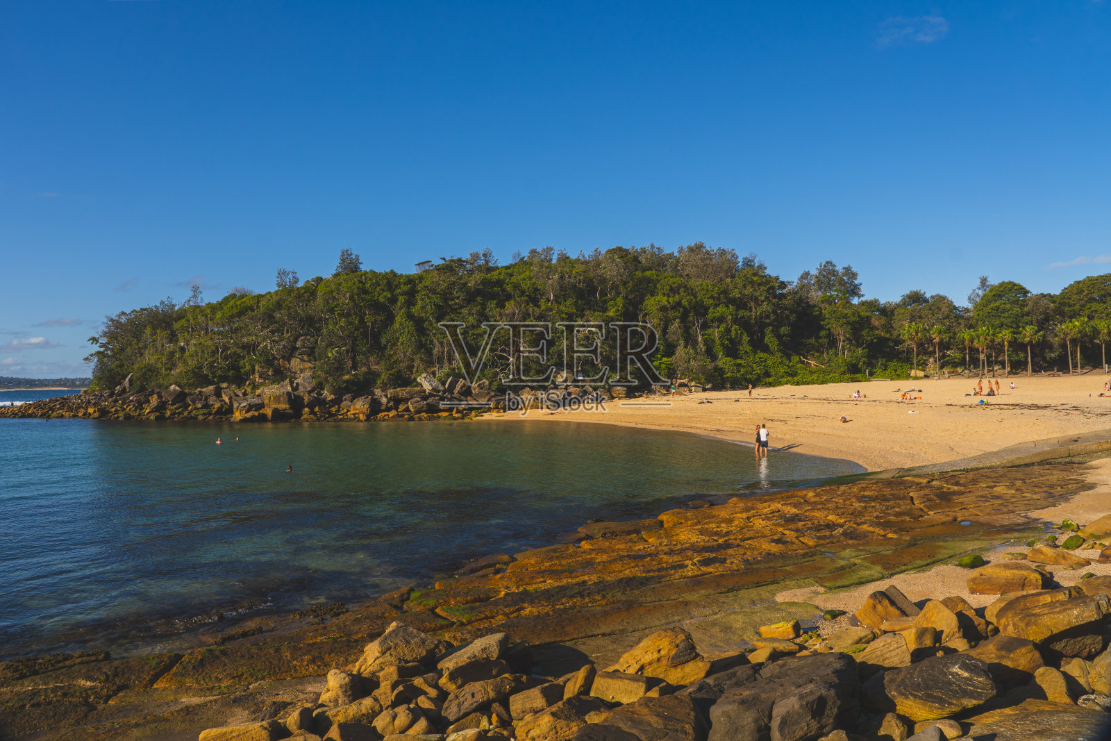 雪莉海滩海滩澳大利亚悉尼照片摄影图片