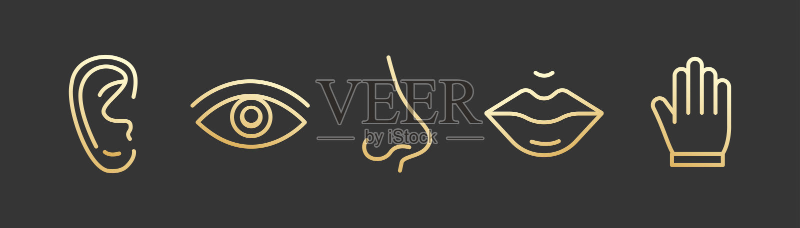 面部和身体的部分。金线图标。黑色背景矢量插画图片素材