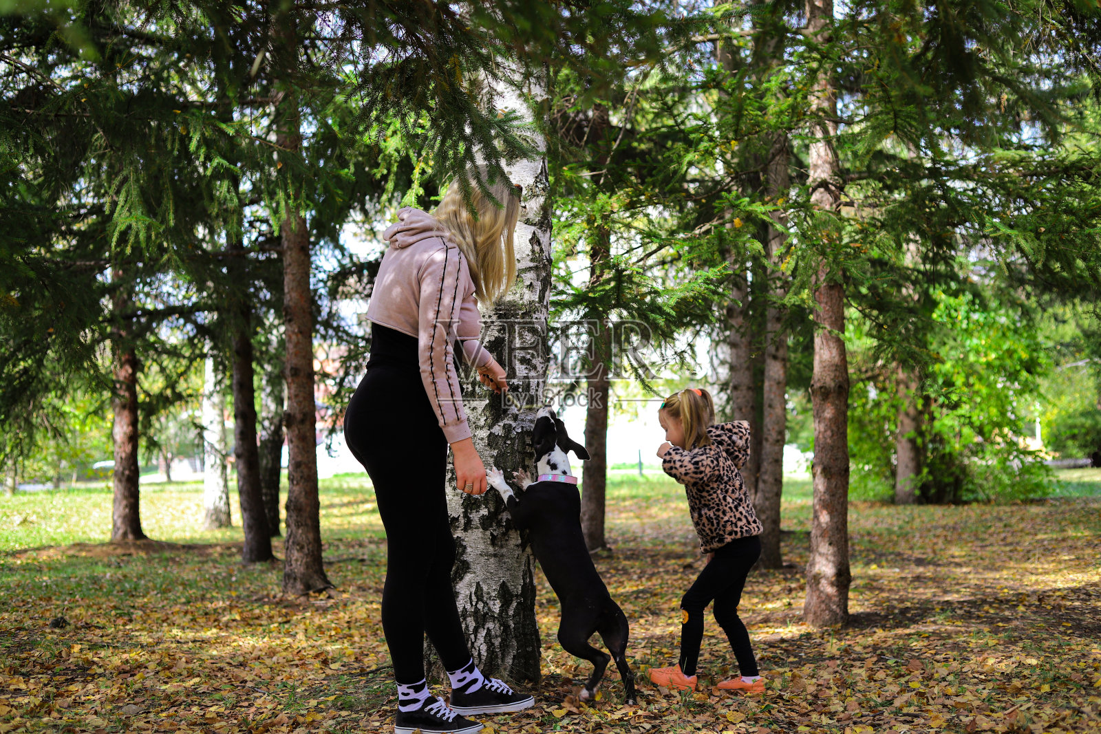 妈妈带着孩子和狗在公园里。健康的习惯照片摄影图片