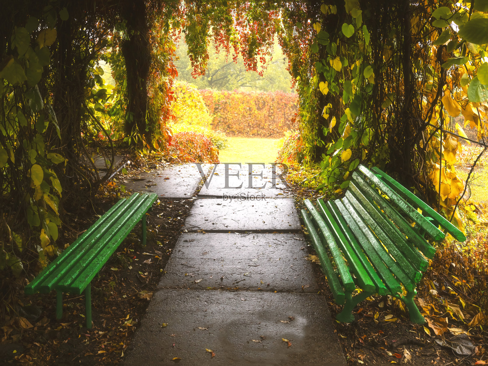 秋天公园里的长椅，背景是黄叶和红叶照片摄影图片