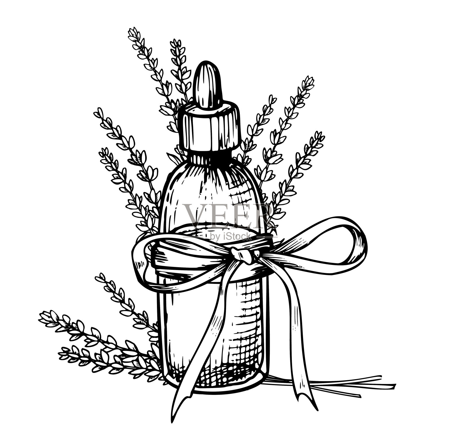 薰衣草精油。手绘线性矢量插图复古瓶芳香疗法在黑色和白色的颜色。画有花的老松鸡，用于美容或替代医学插画图片素材