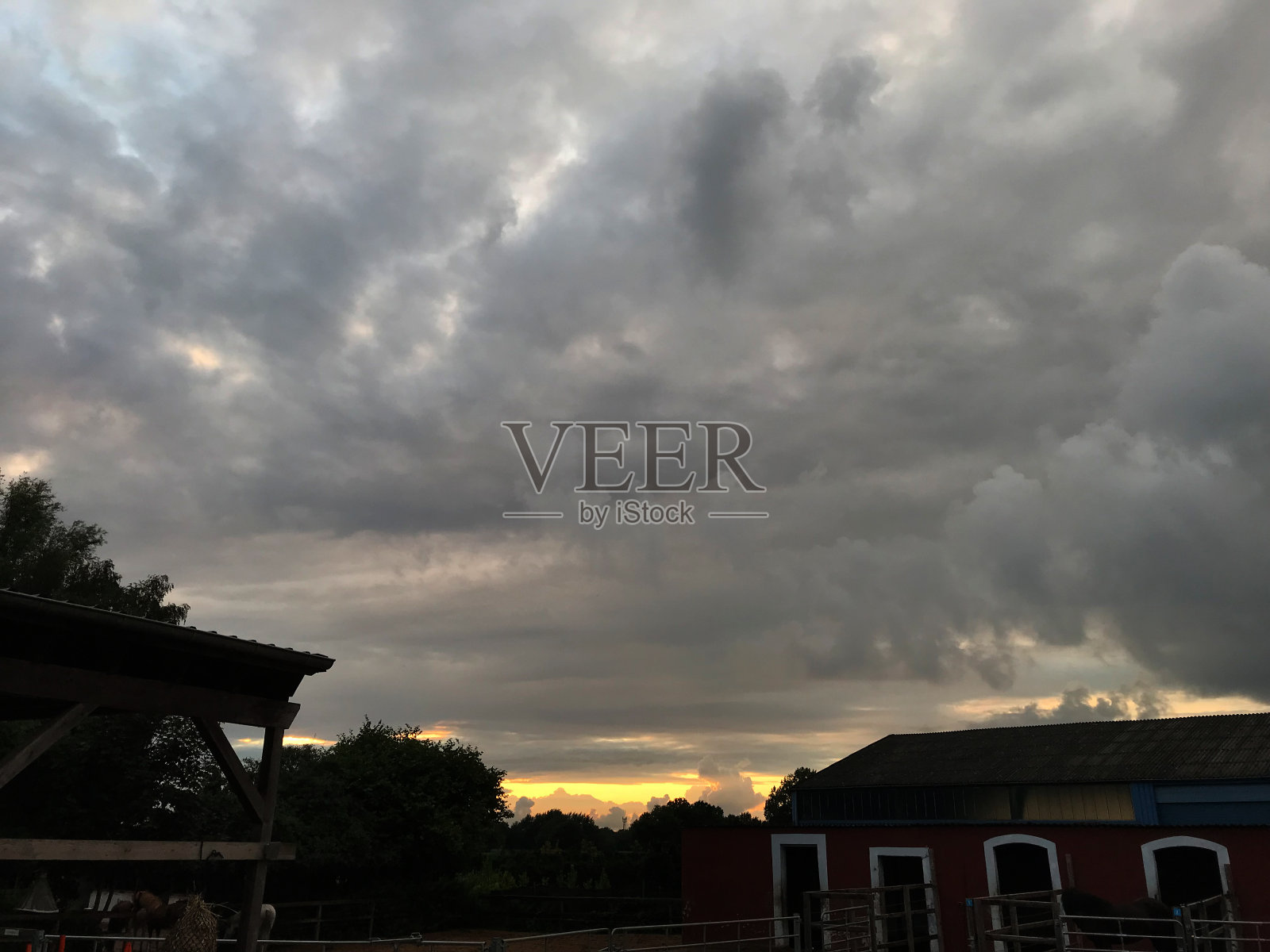 冰岛Horce照片摄影图片