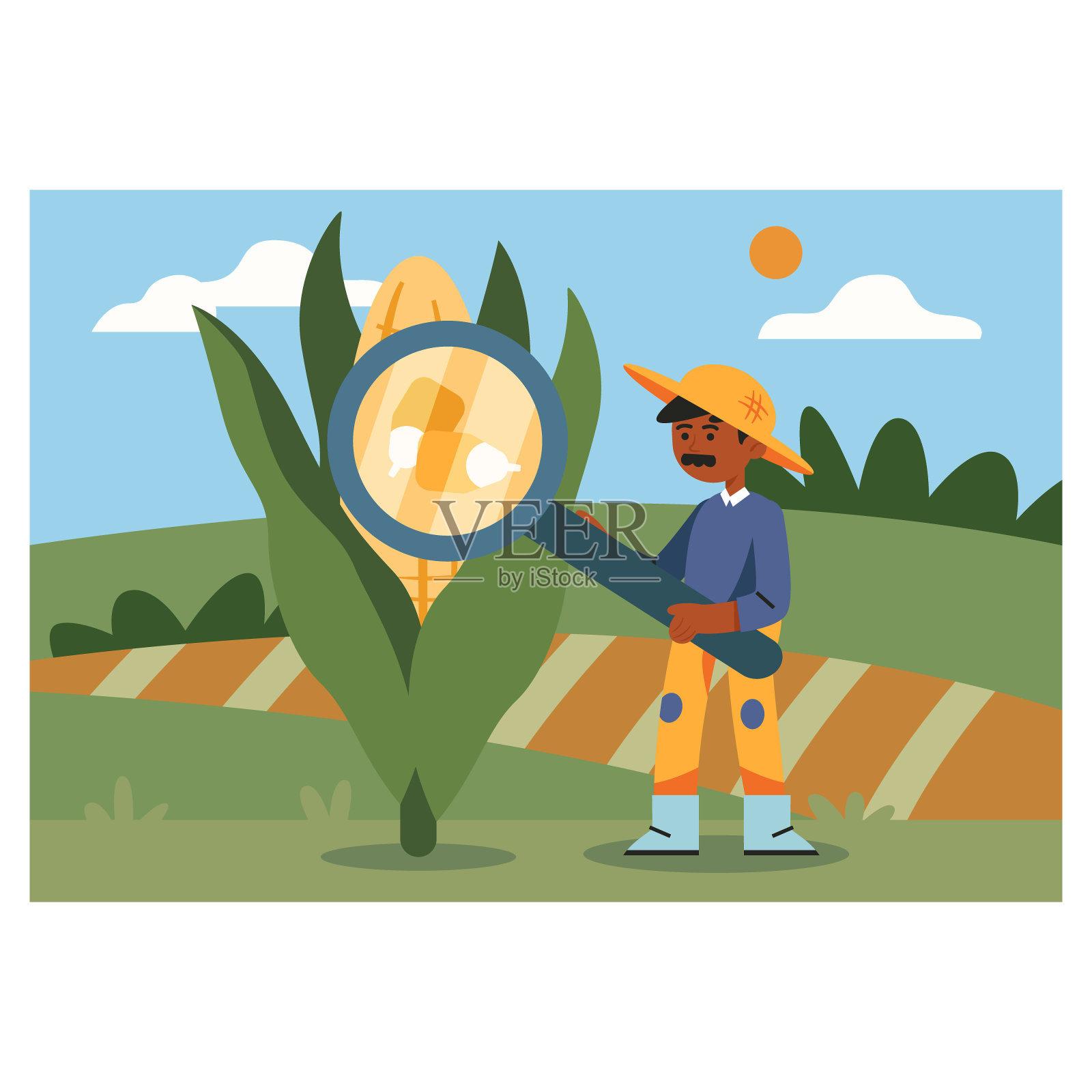 墨西哥农民穿着制服，戴着帽子，拿着放大镜检查大玉米，看着谷物插画图片素材