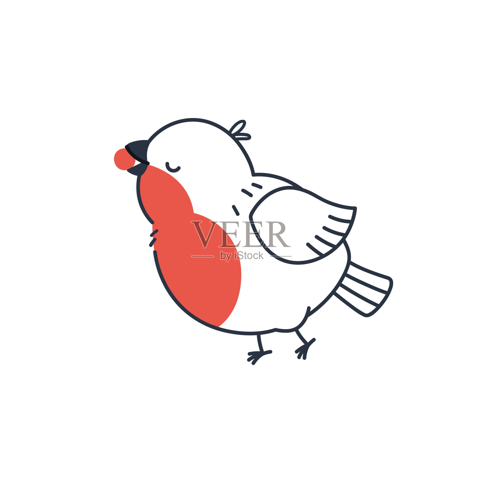 矢量插图的一个可爱的冬季鸟红腹雀，孤立在一个白色的背景插画图片素材