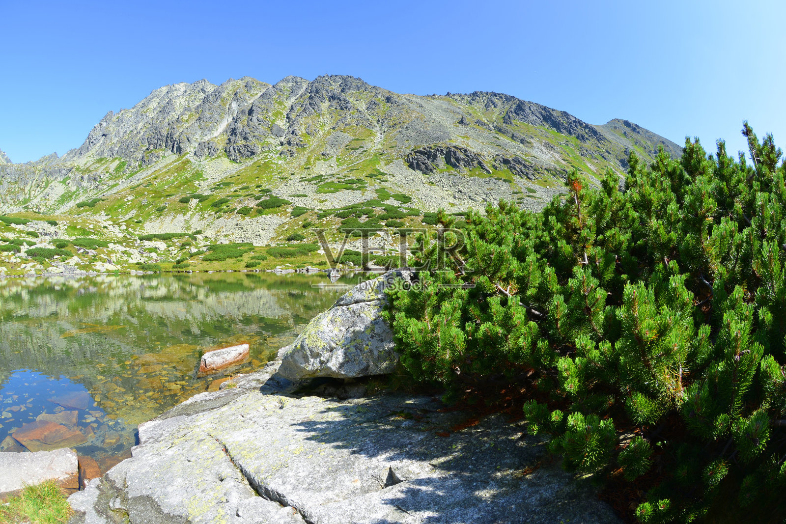 Pleso和Skokom在斯洛伐克Tatra山脉的Mlynicka山谷照片摄影图片