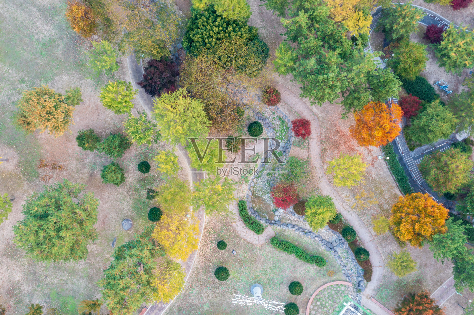 秋季五彩森林中的鸟瞰图。照片摄影图片