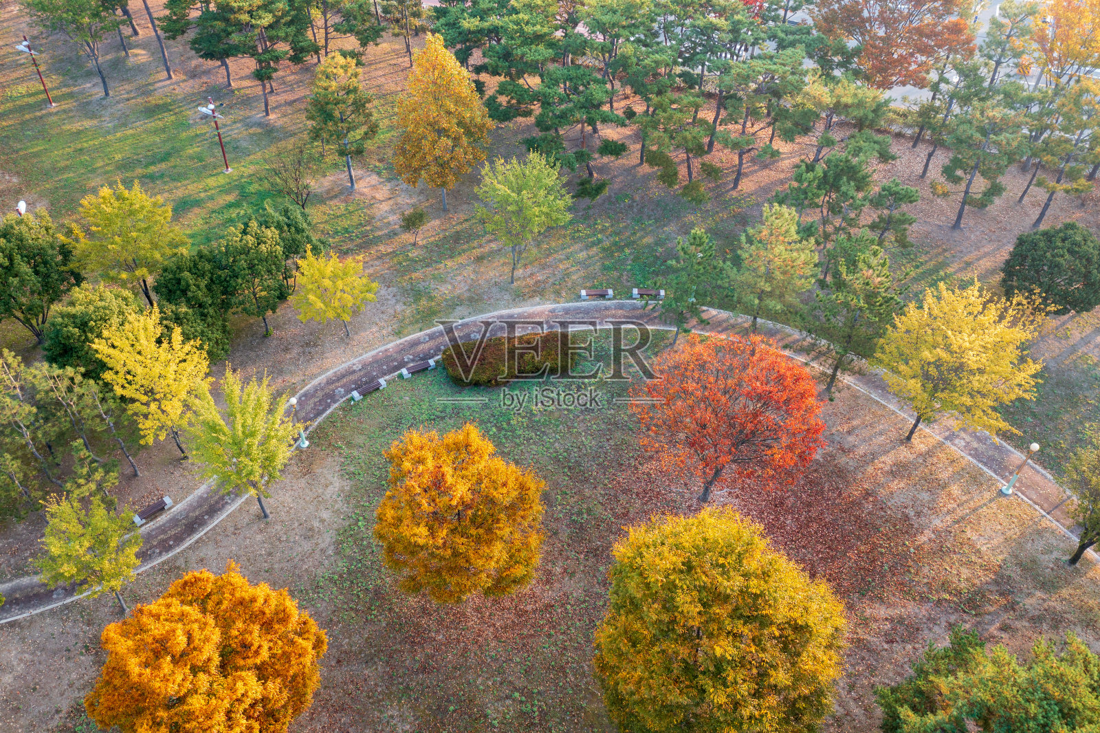 秋季五彩森林中的鸟瞰图。照片摄影图片