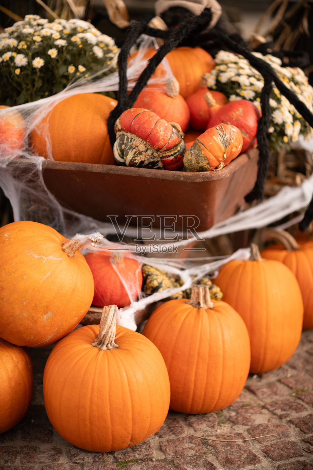 在购物街上的旧手推车里放着南瓜，作为户外万圣节的装饰。照片摄影图片