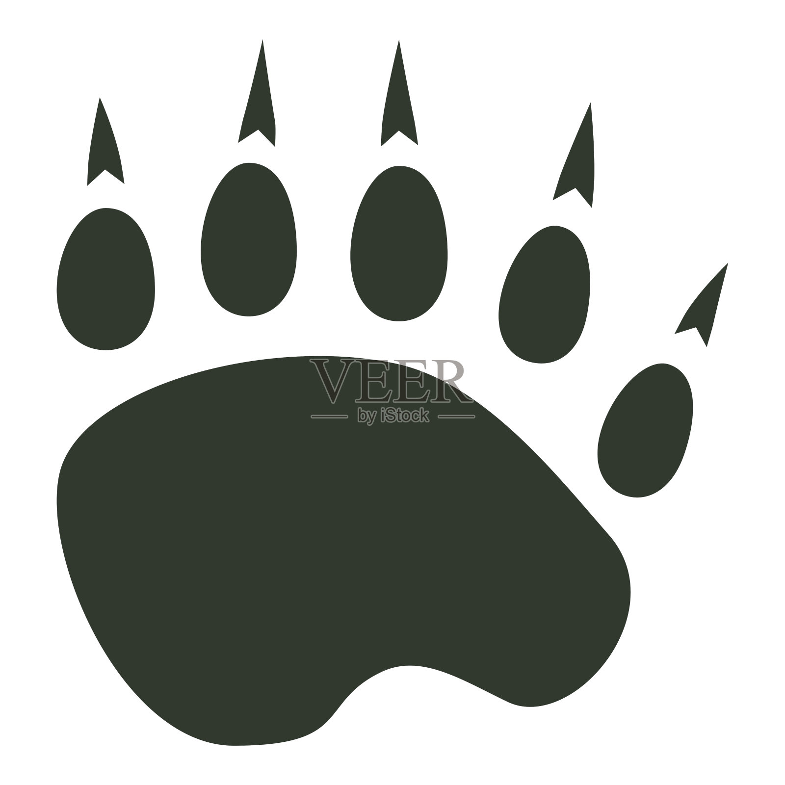 黑熊追踪孤立的矢量插画图片素材